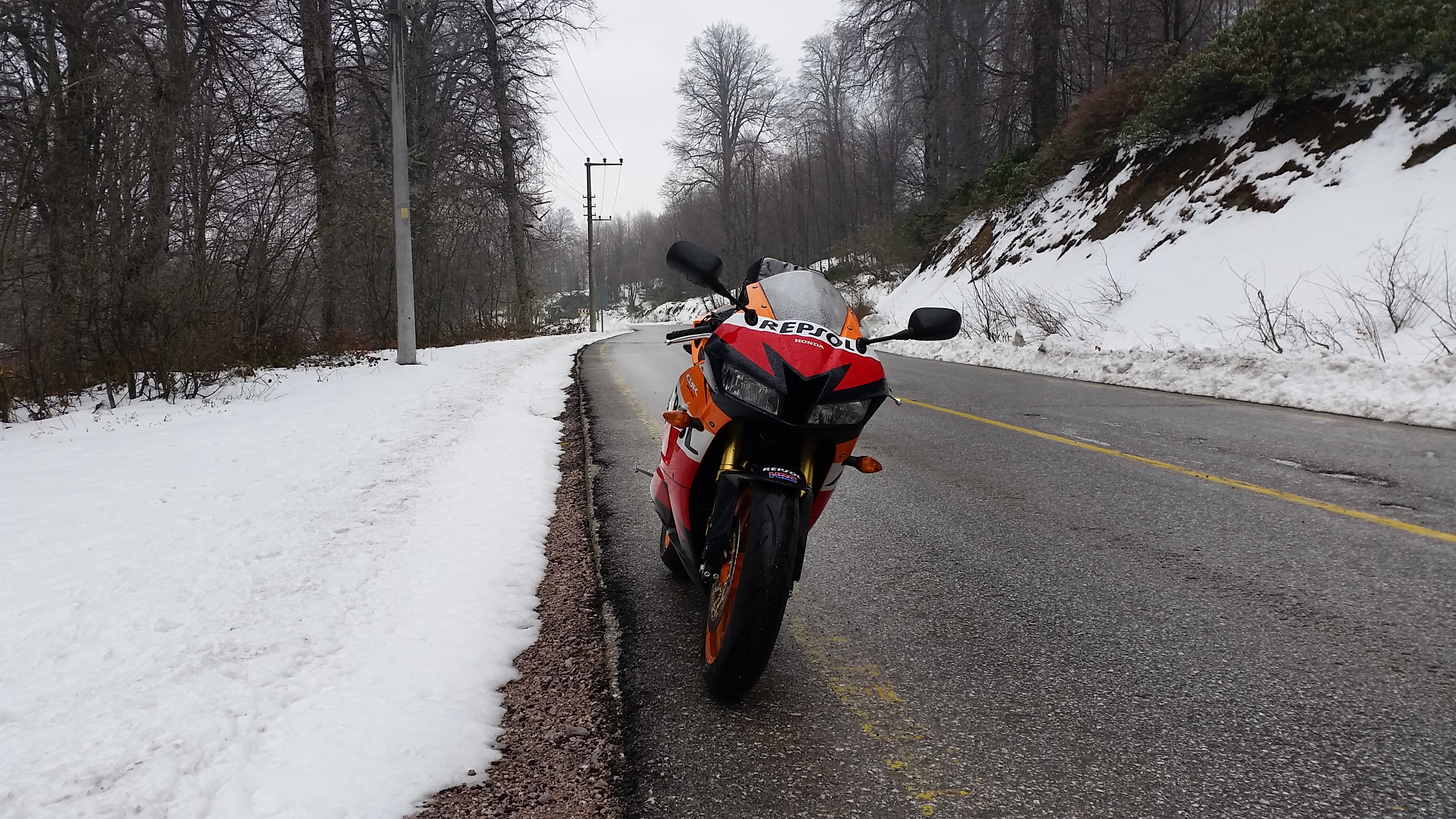 Photo 2778834