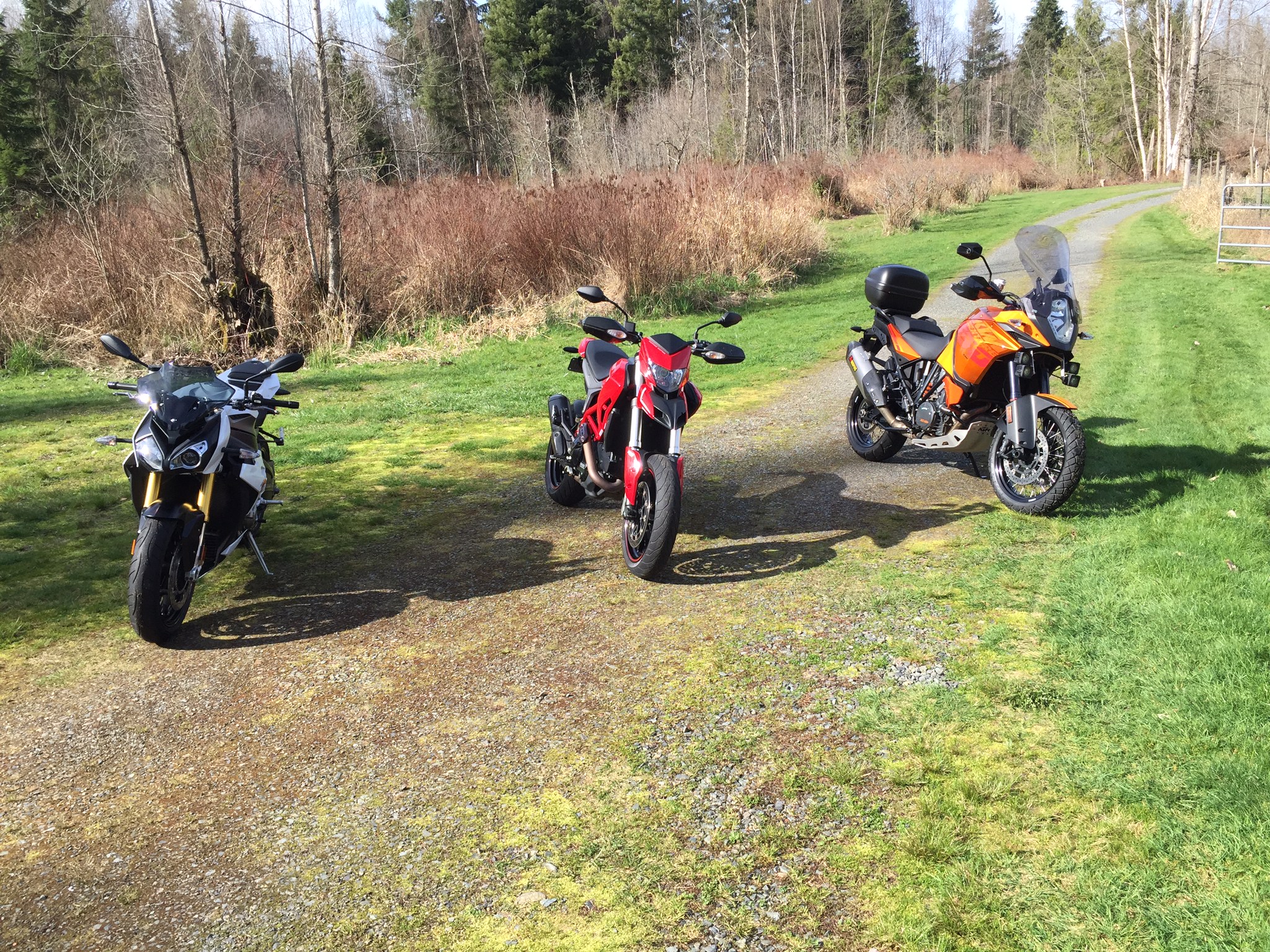 Photo 2778893