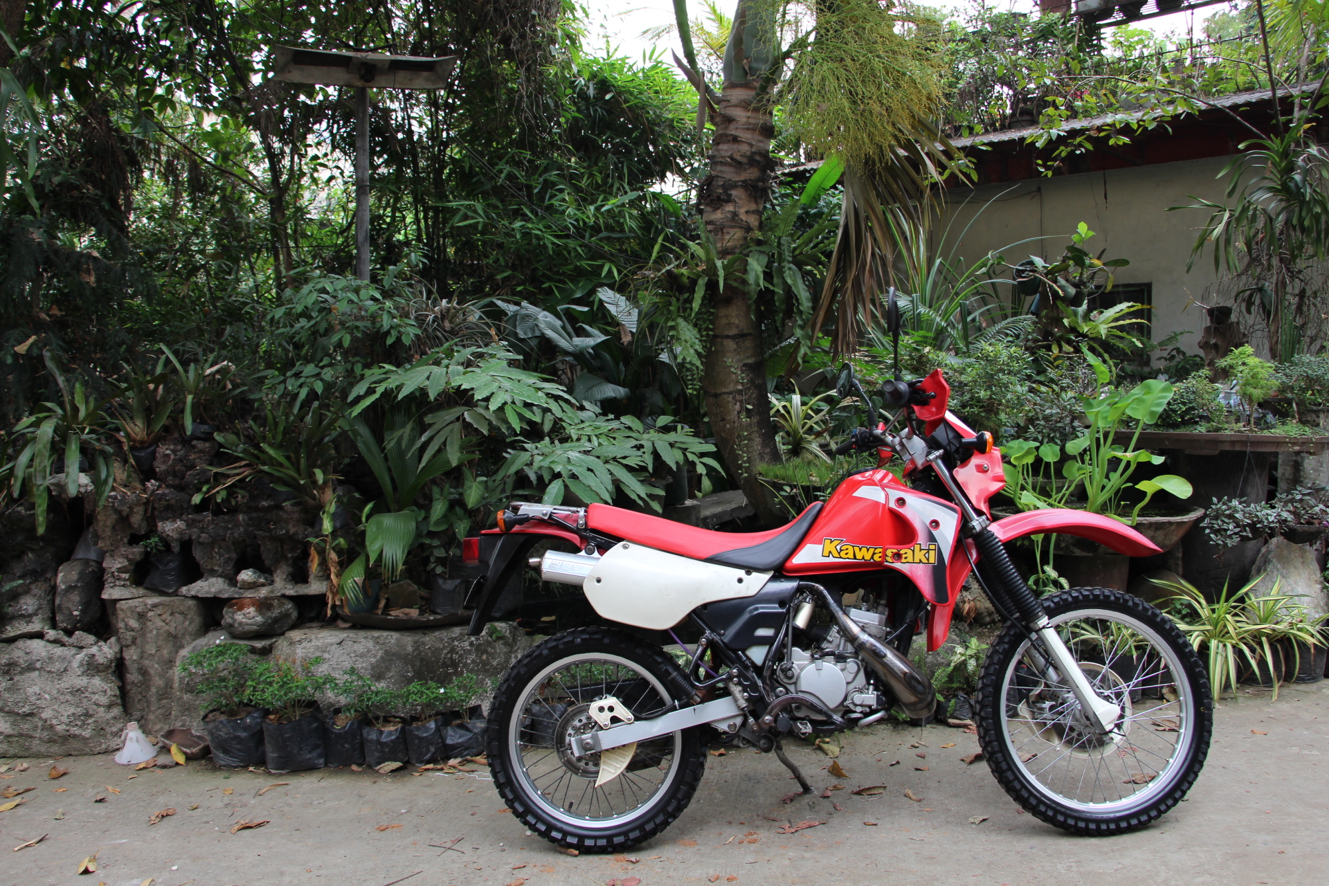 Bike Photo 2778899