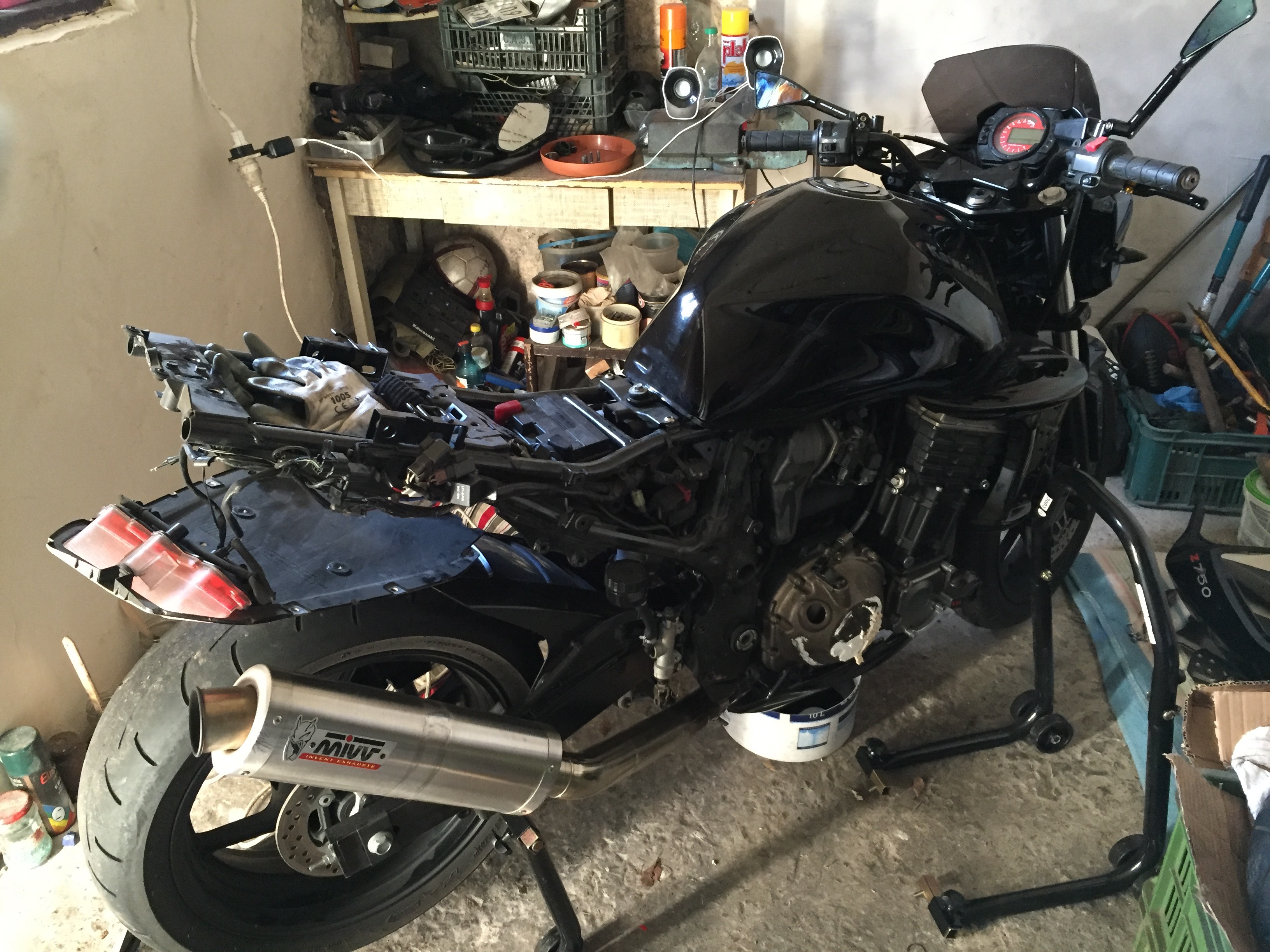 Photo 2778914