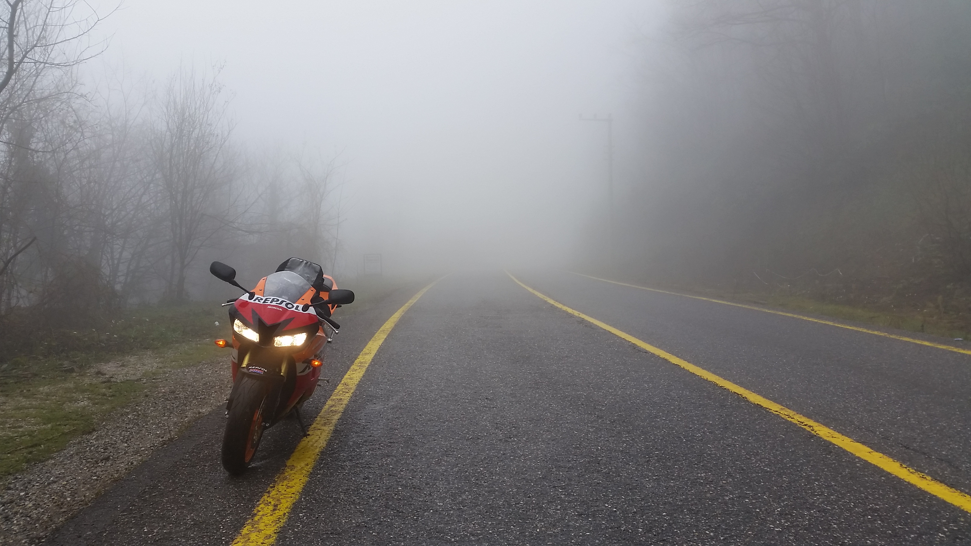 Photo 2779009