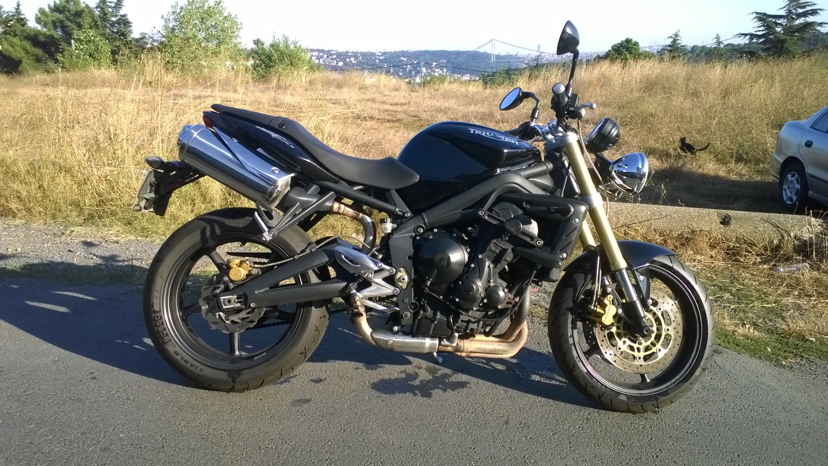 Photo 2779098