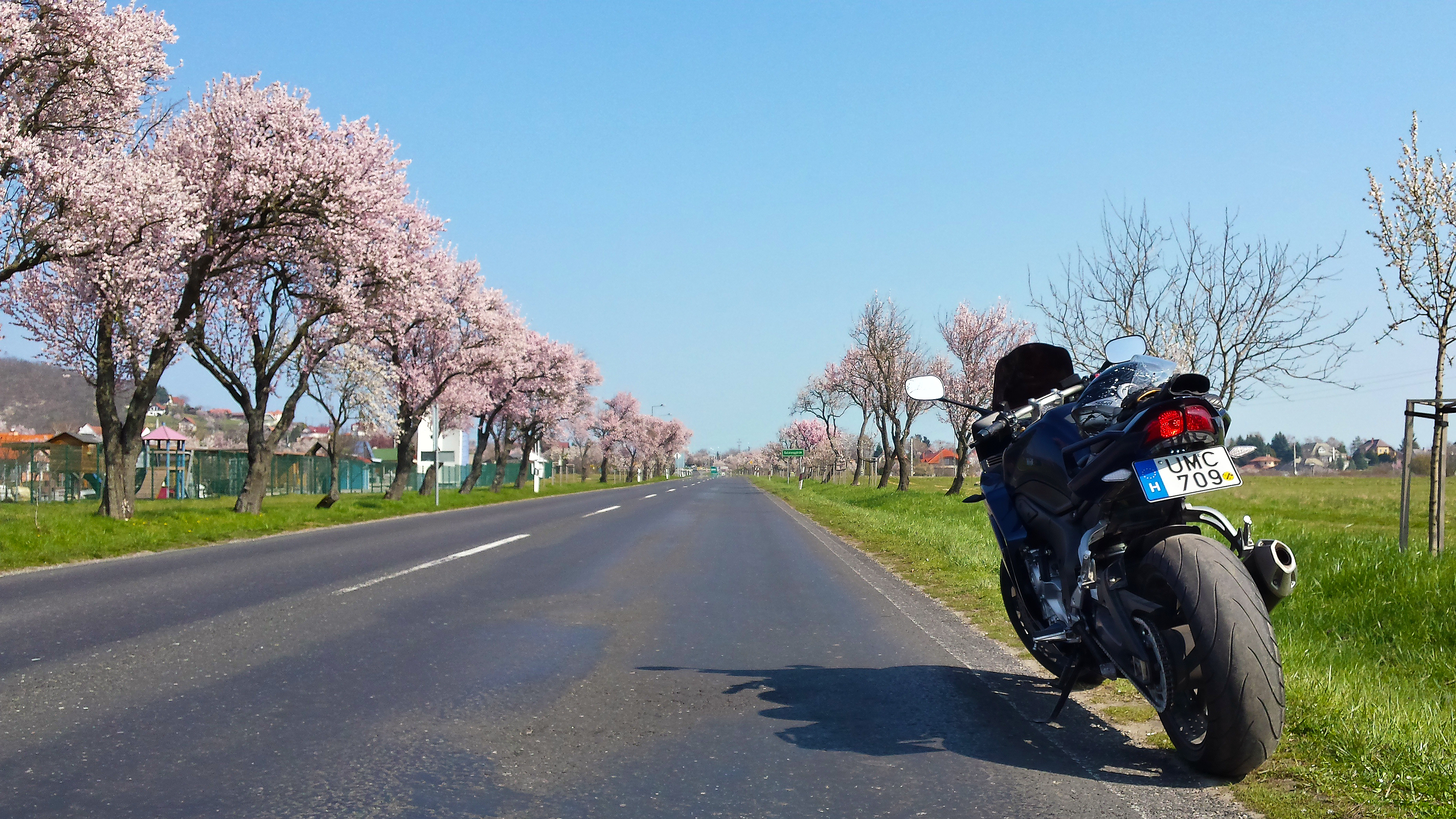 Bike Photo 2779305