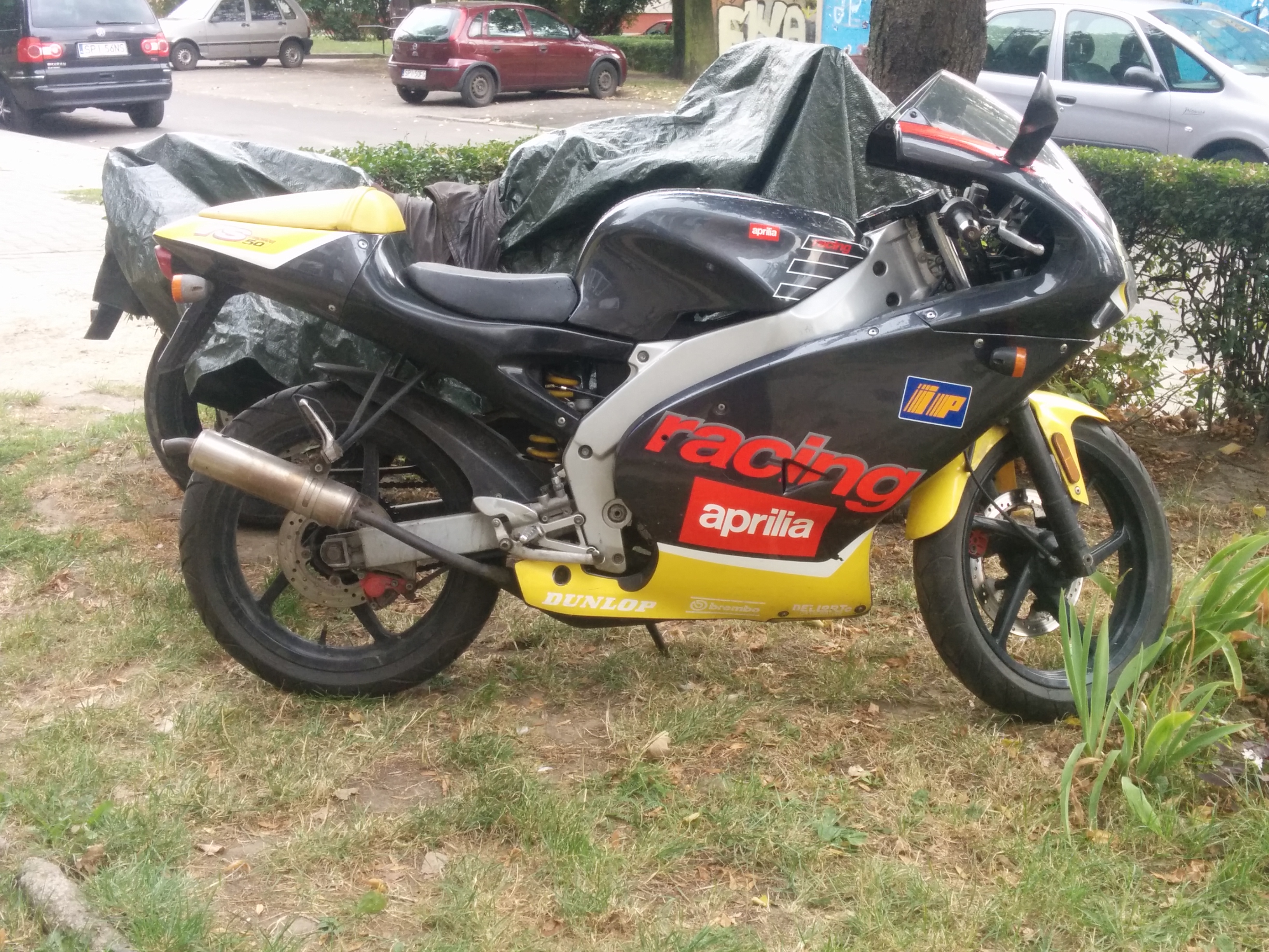 Photo 2779342