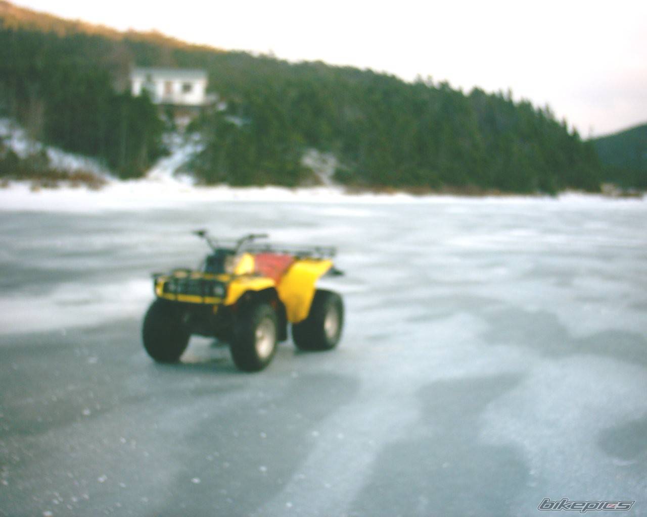 Photo 277935