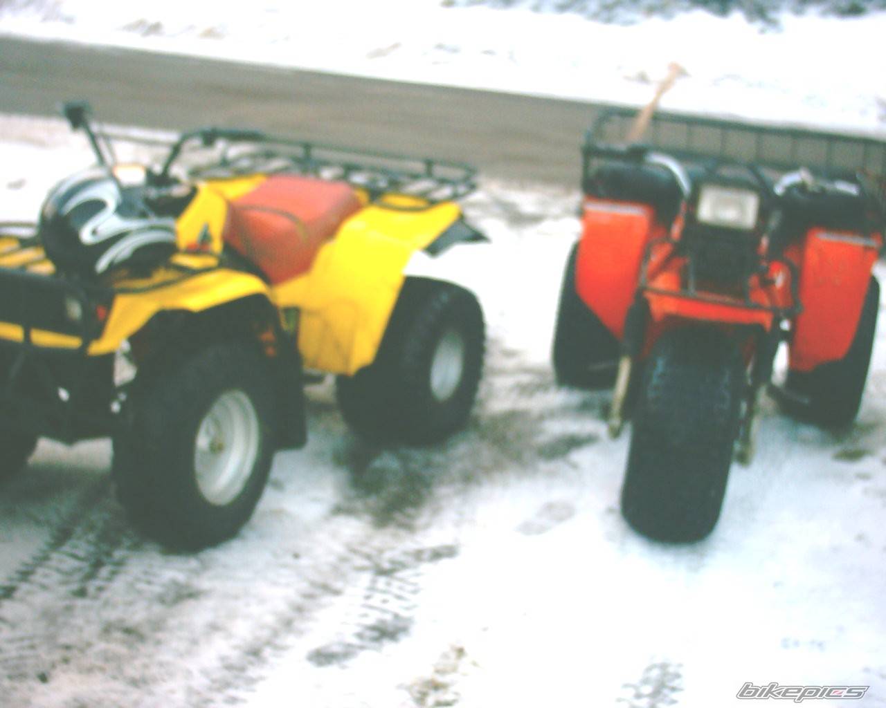 Photo 277936
