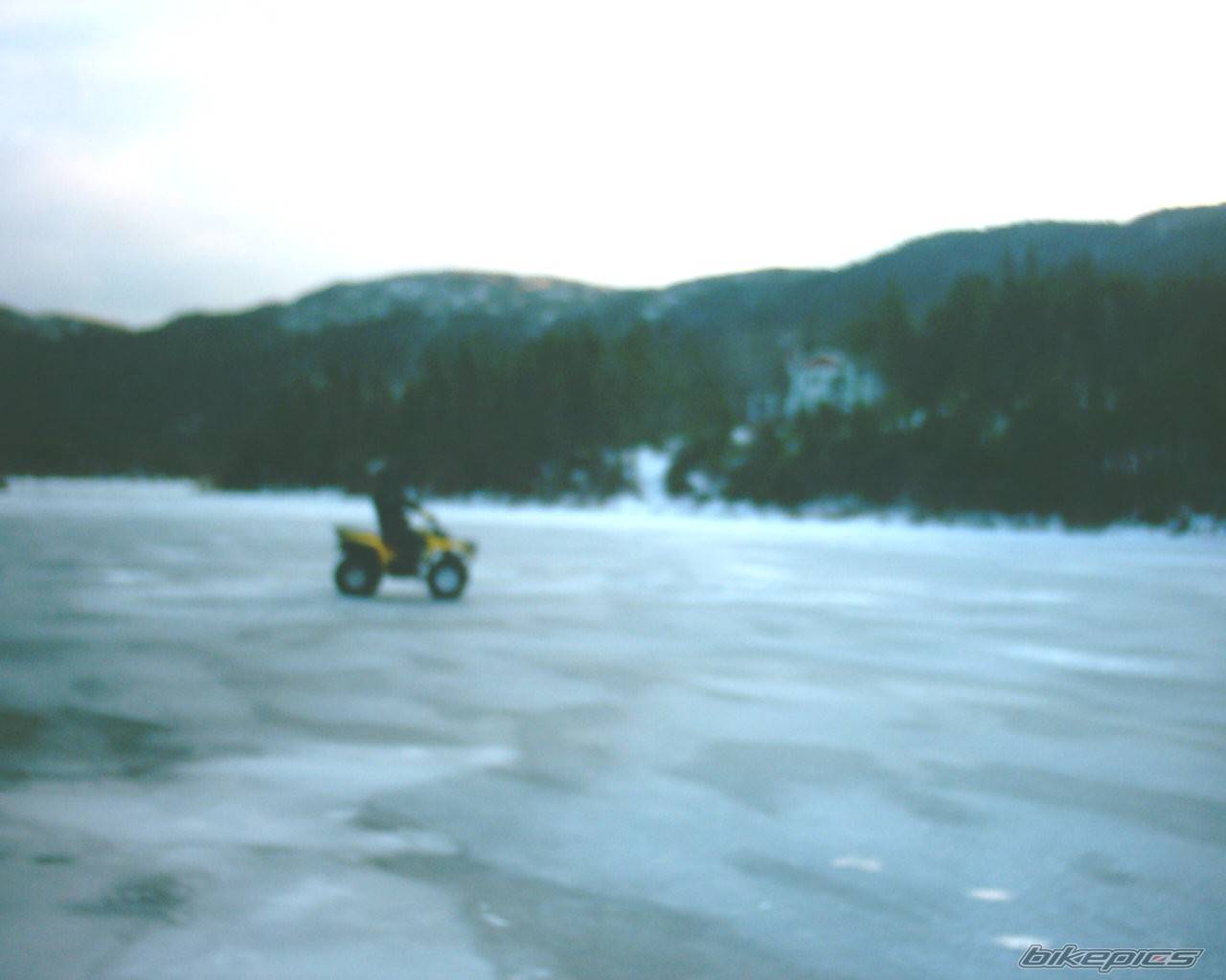 Photo 277937