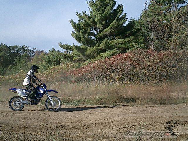 Photo 277952