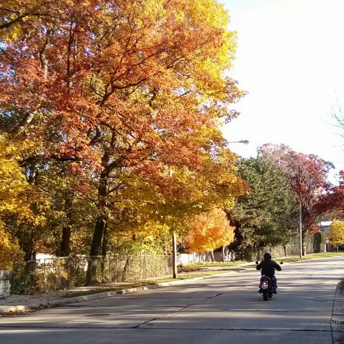 Photo 2779598