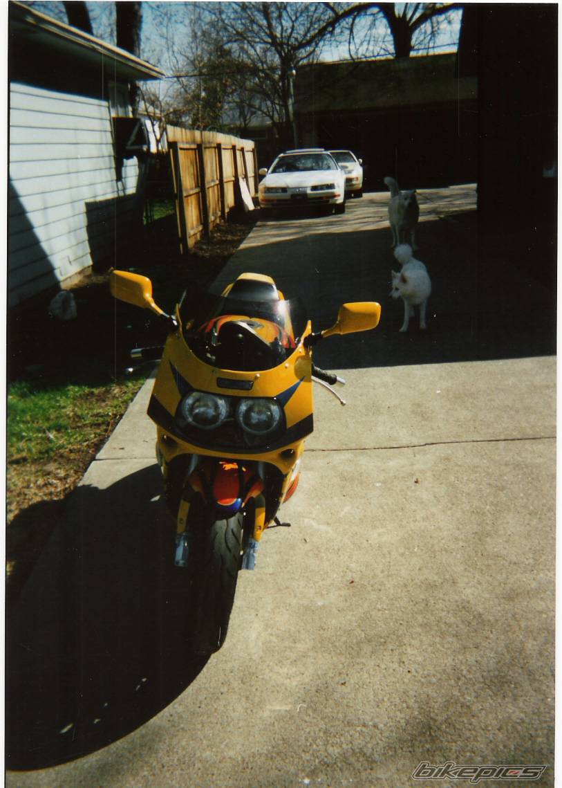 Photo 277967