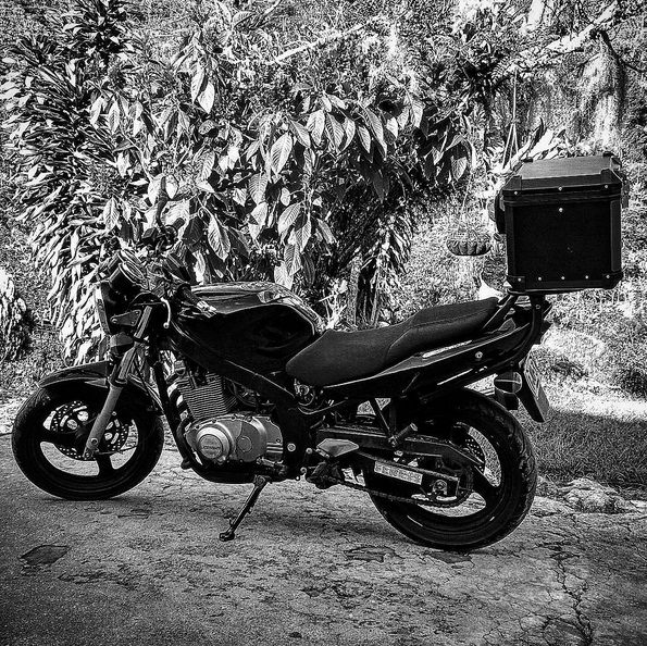 Bike Photo 2779784