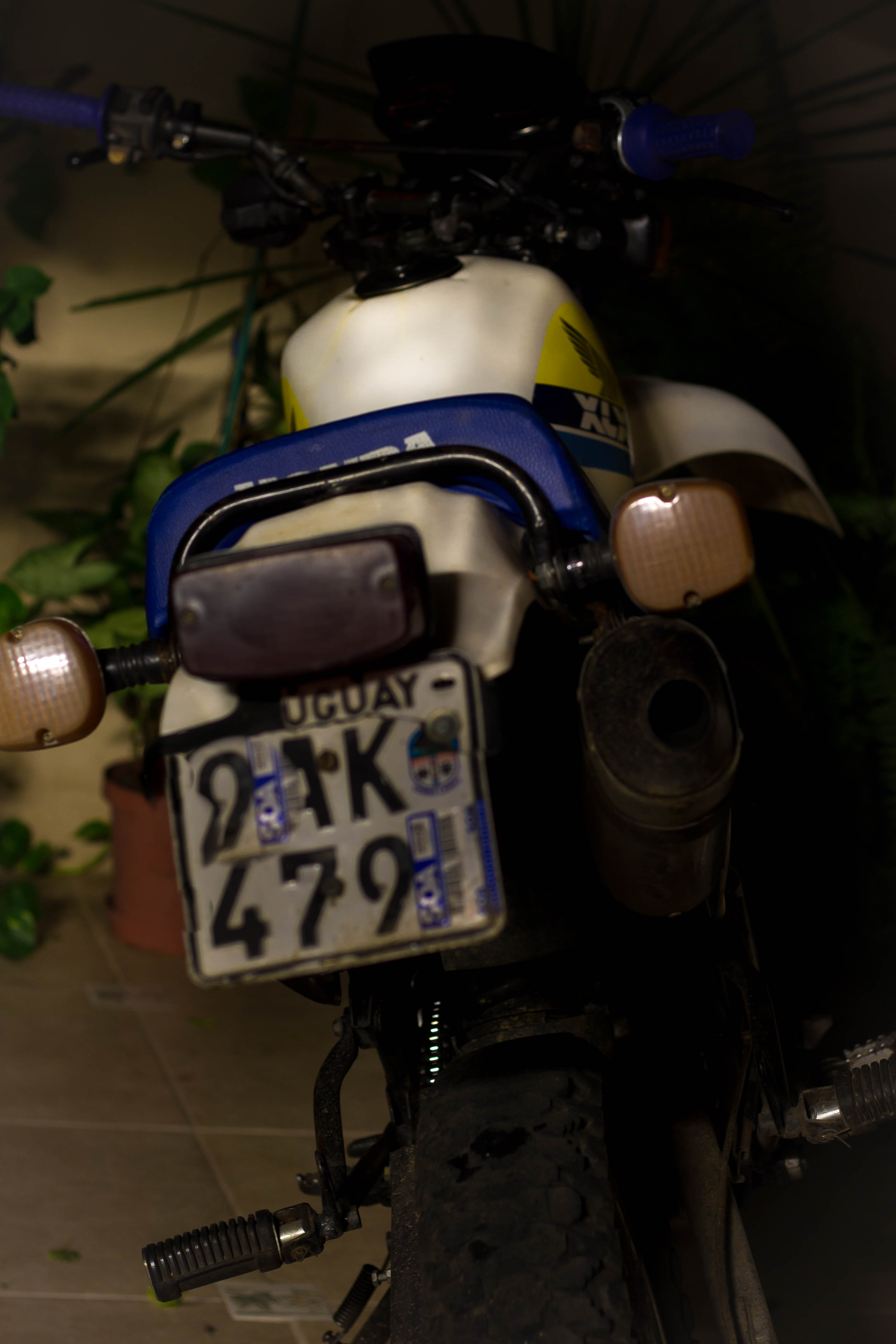 Photo 2779797