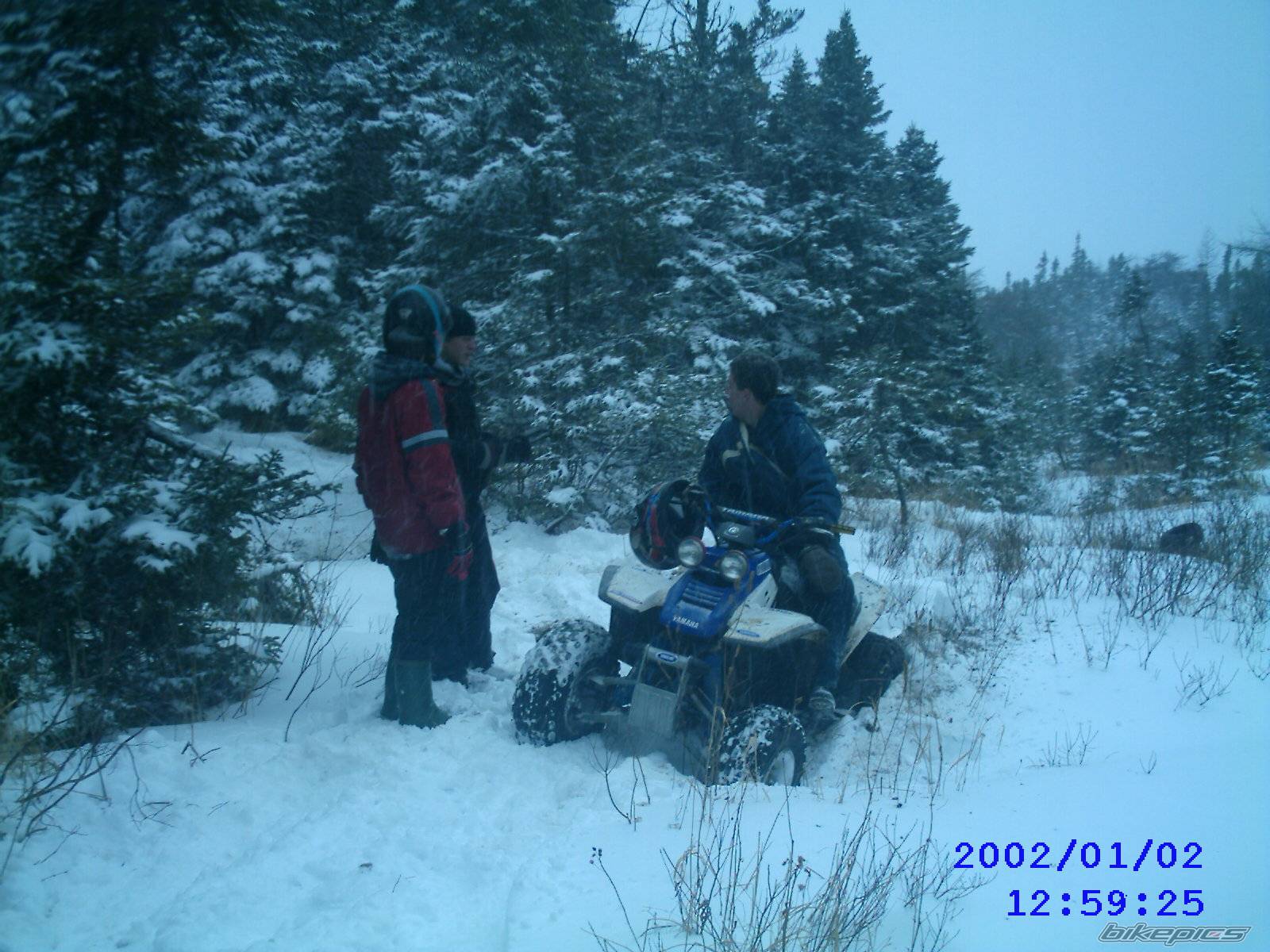 Photo 277980