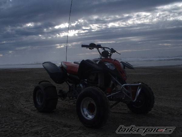 Photo 277987
