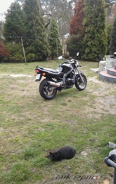 Photo 2779951