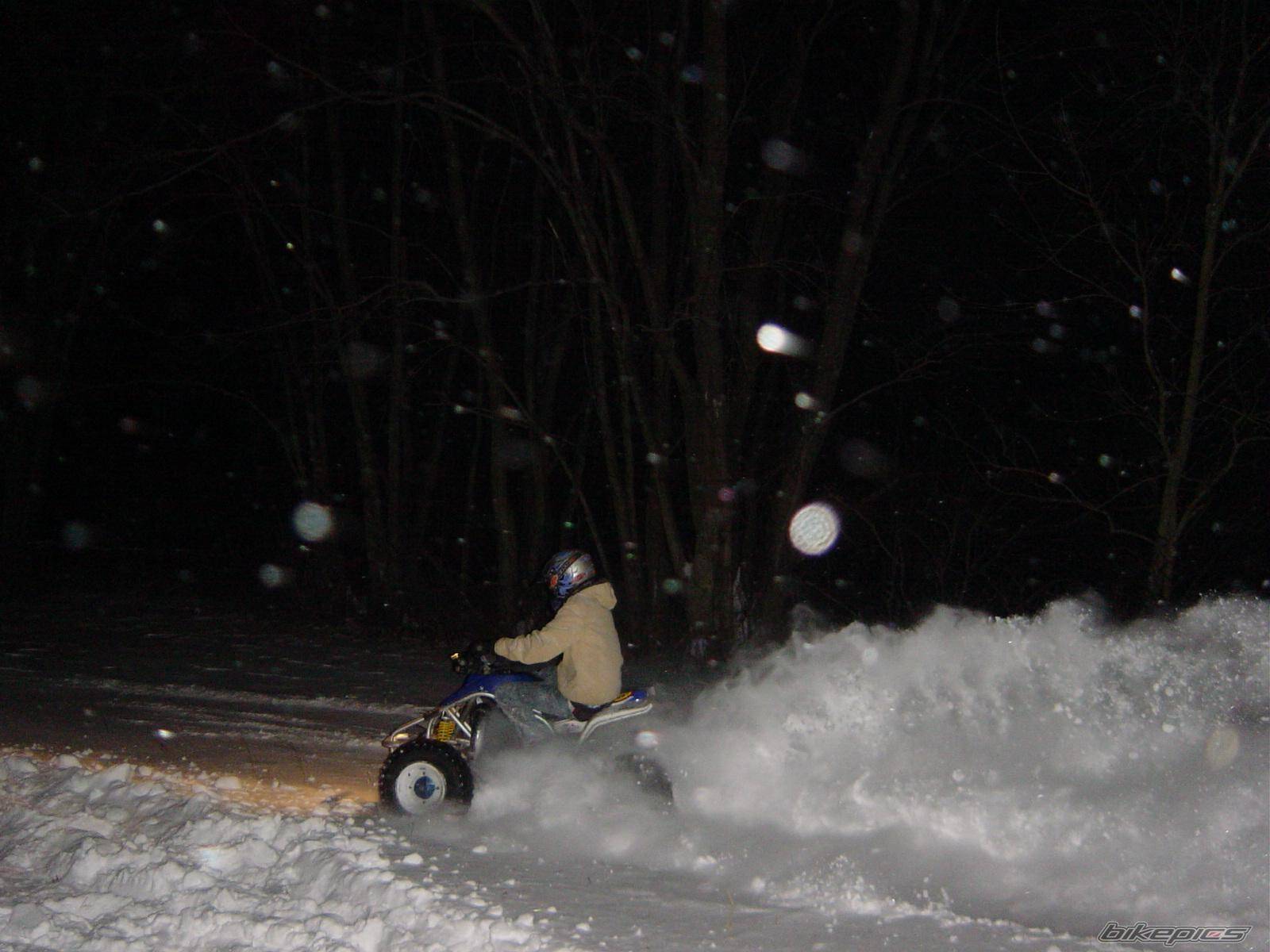 Photo 278007