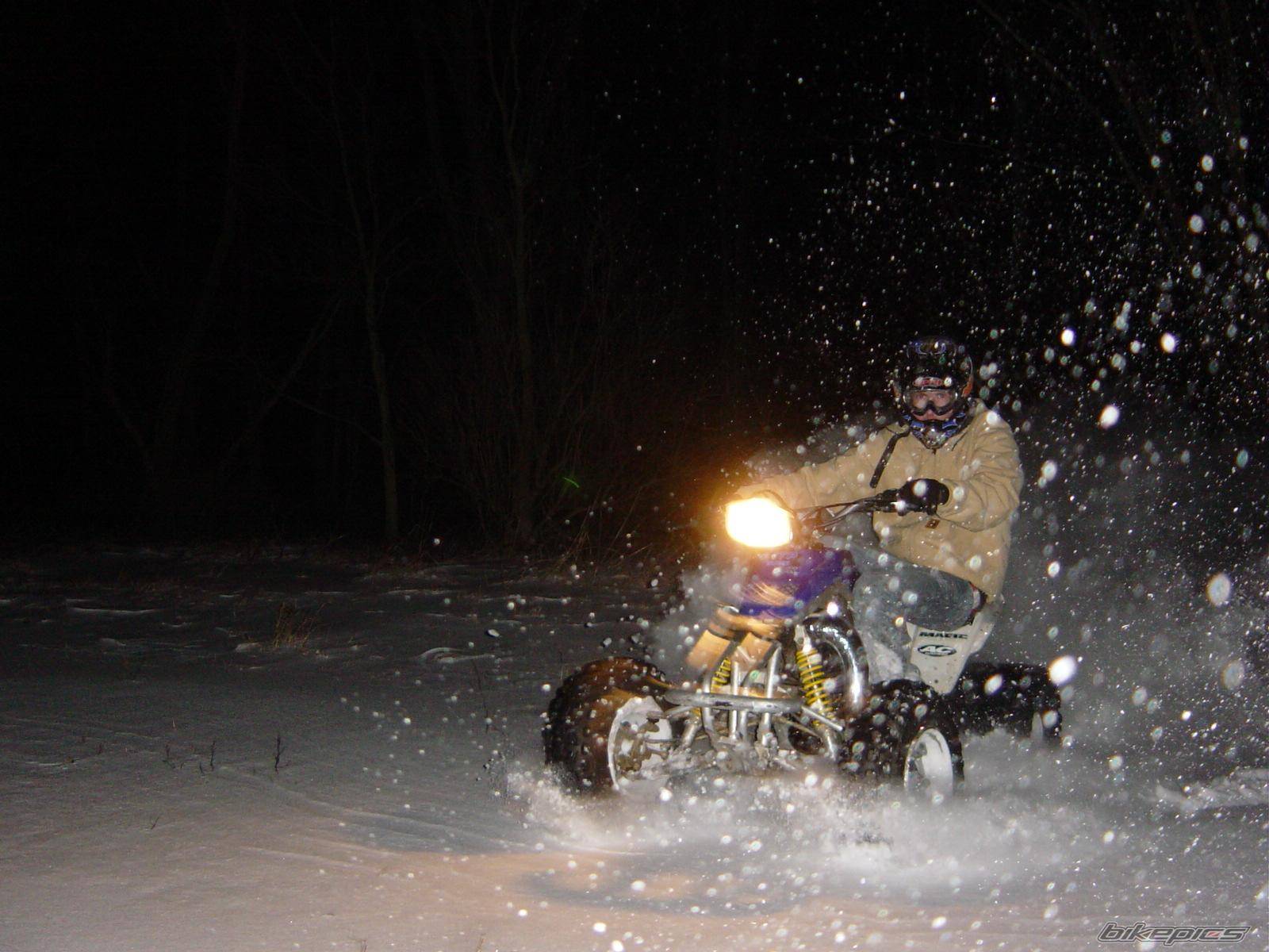 Photo 278008