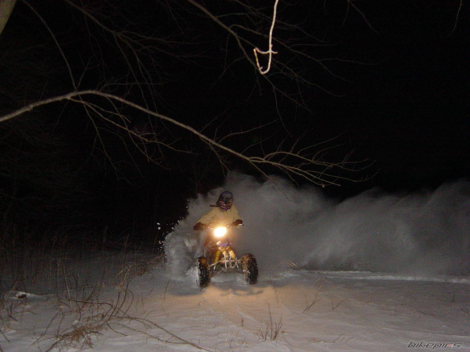 Photo 278011