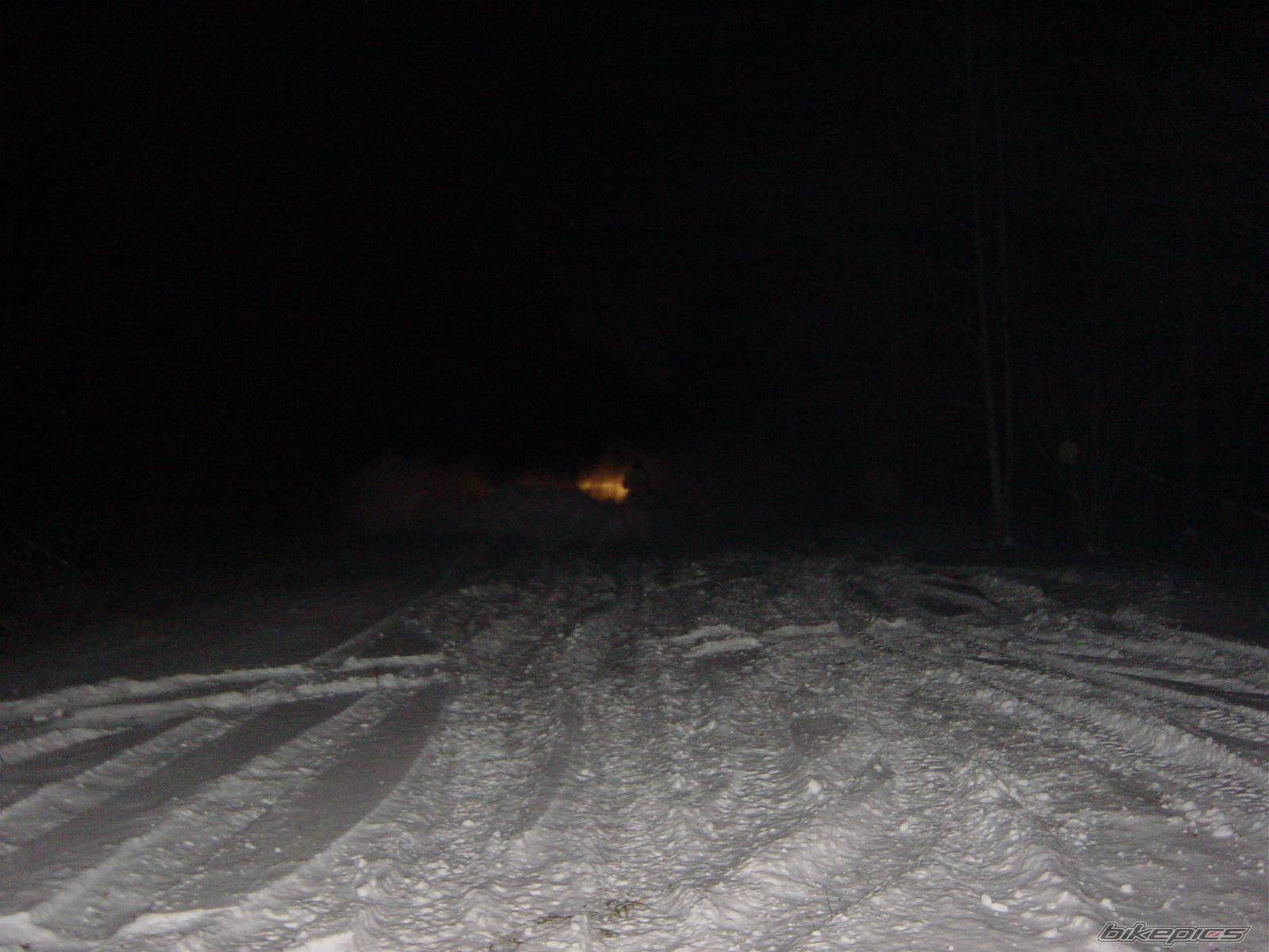 Photo 278014