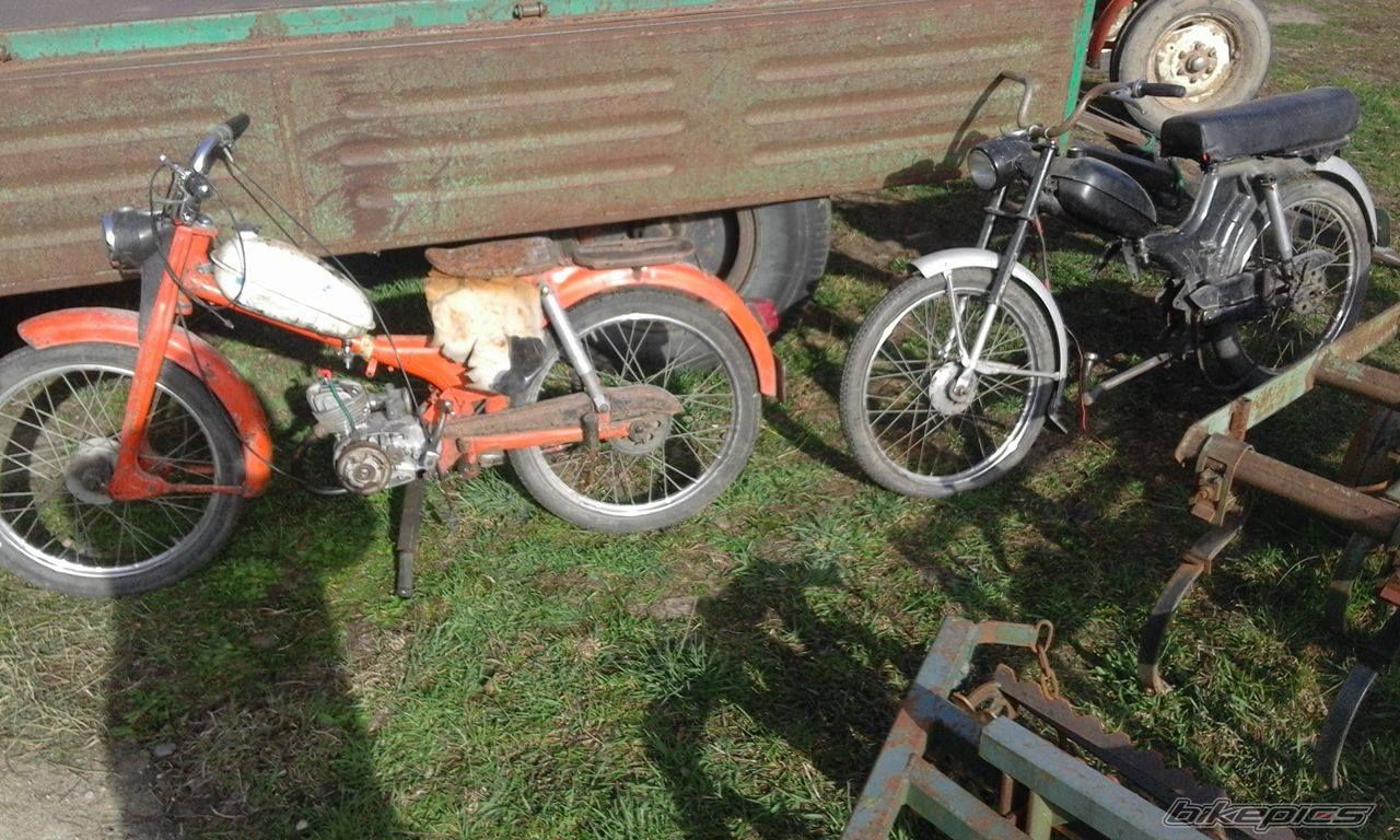Photo 2780250