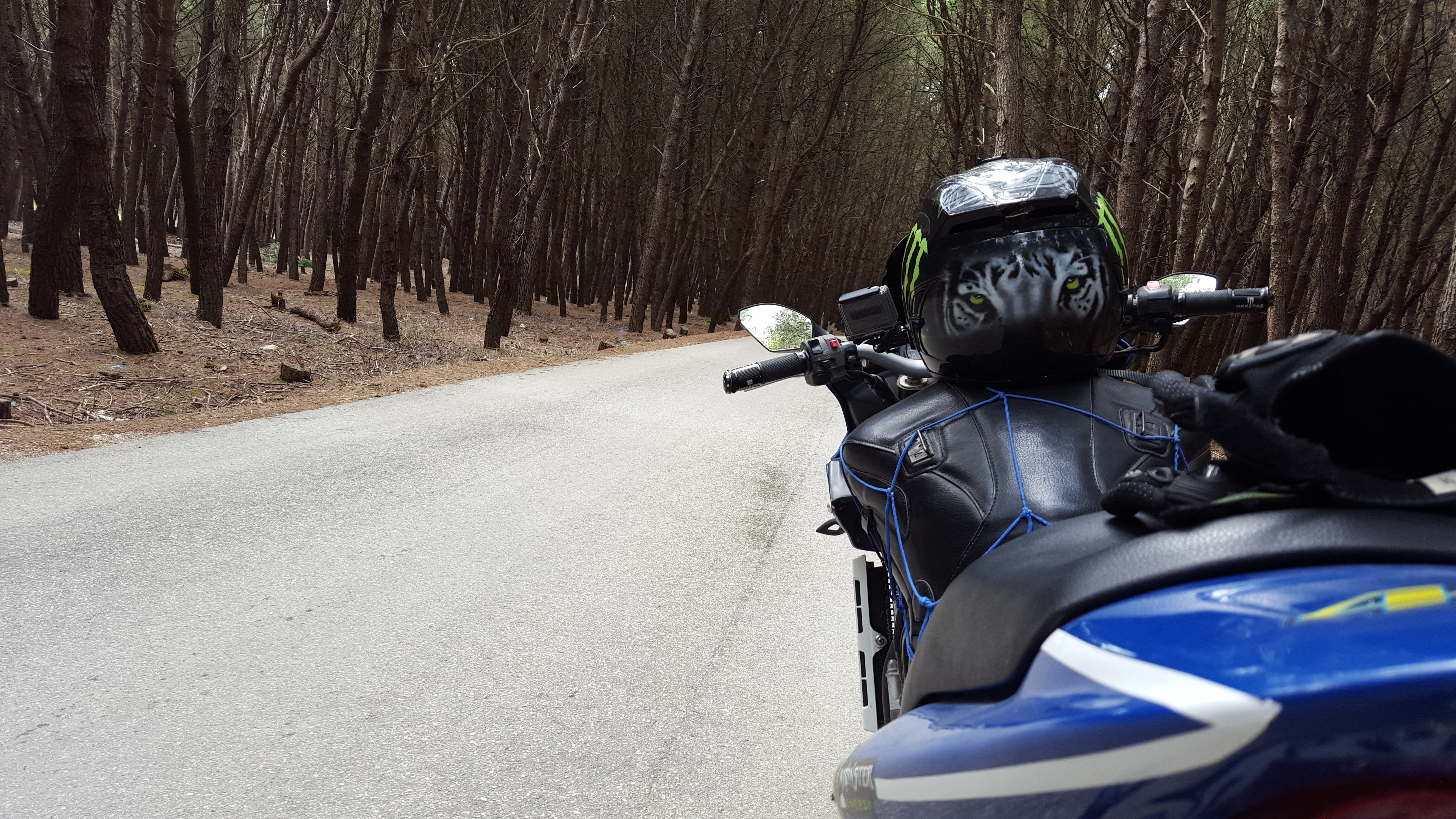 Bike Photo 2780581