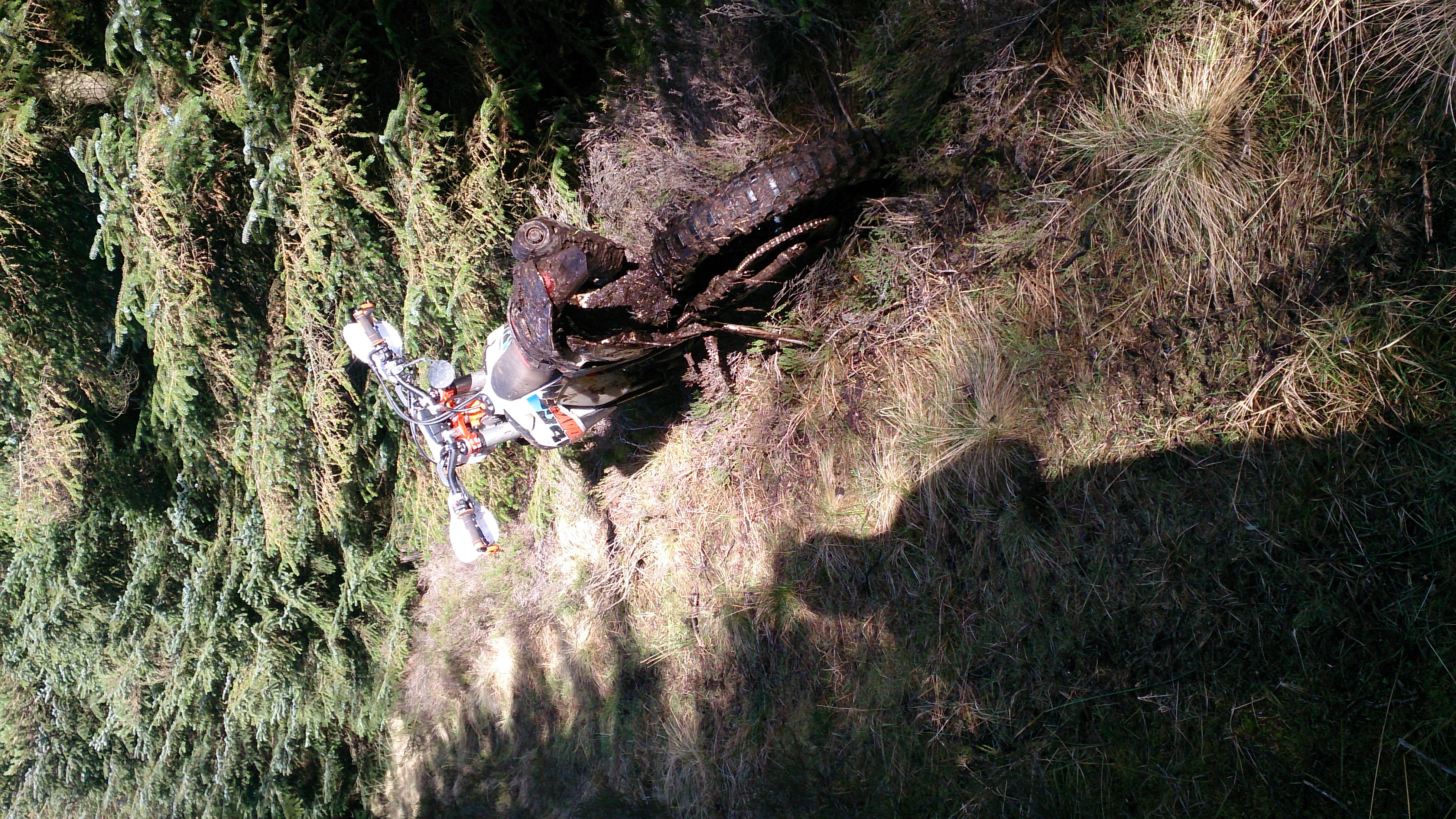 Photo 2780842