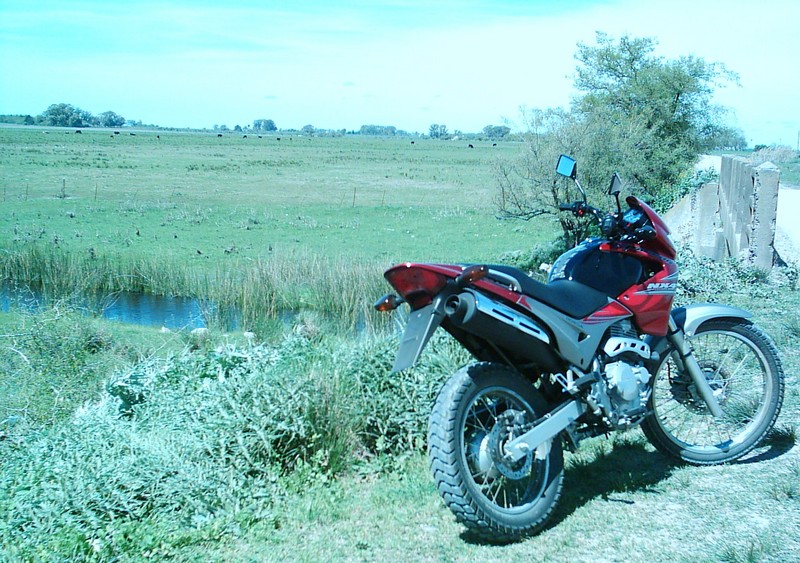 Photo 2780861