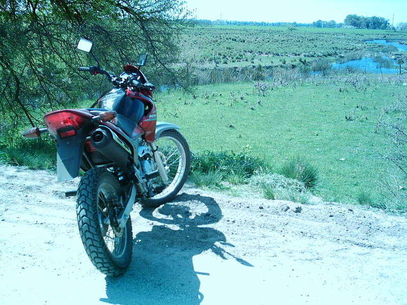 Photo 2780863