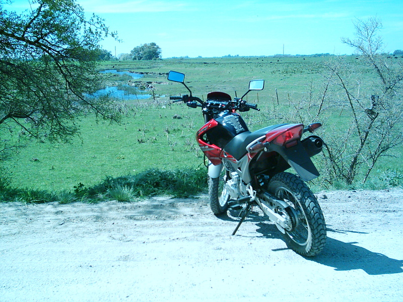 Photo 2780864