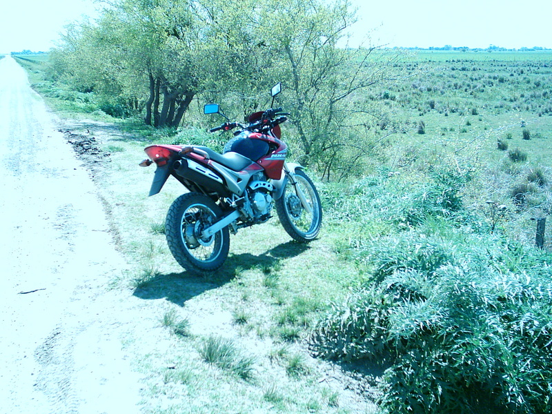 Photo 2780866