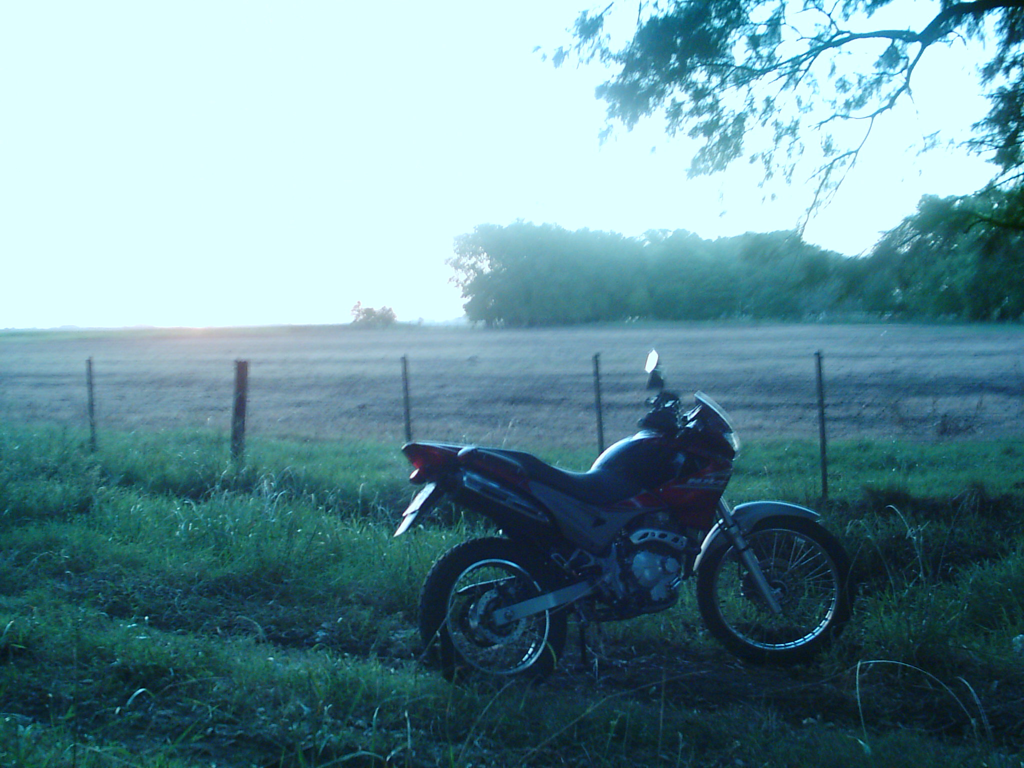 Photo 2780867