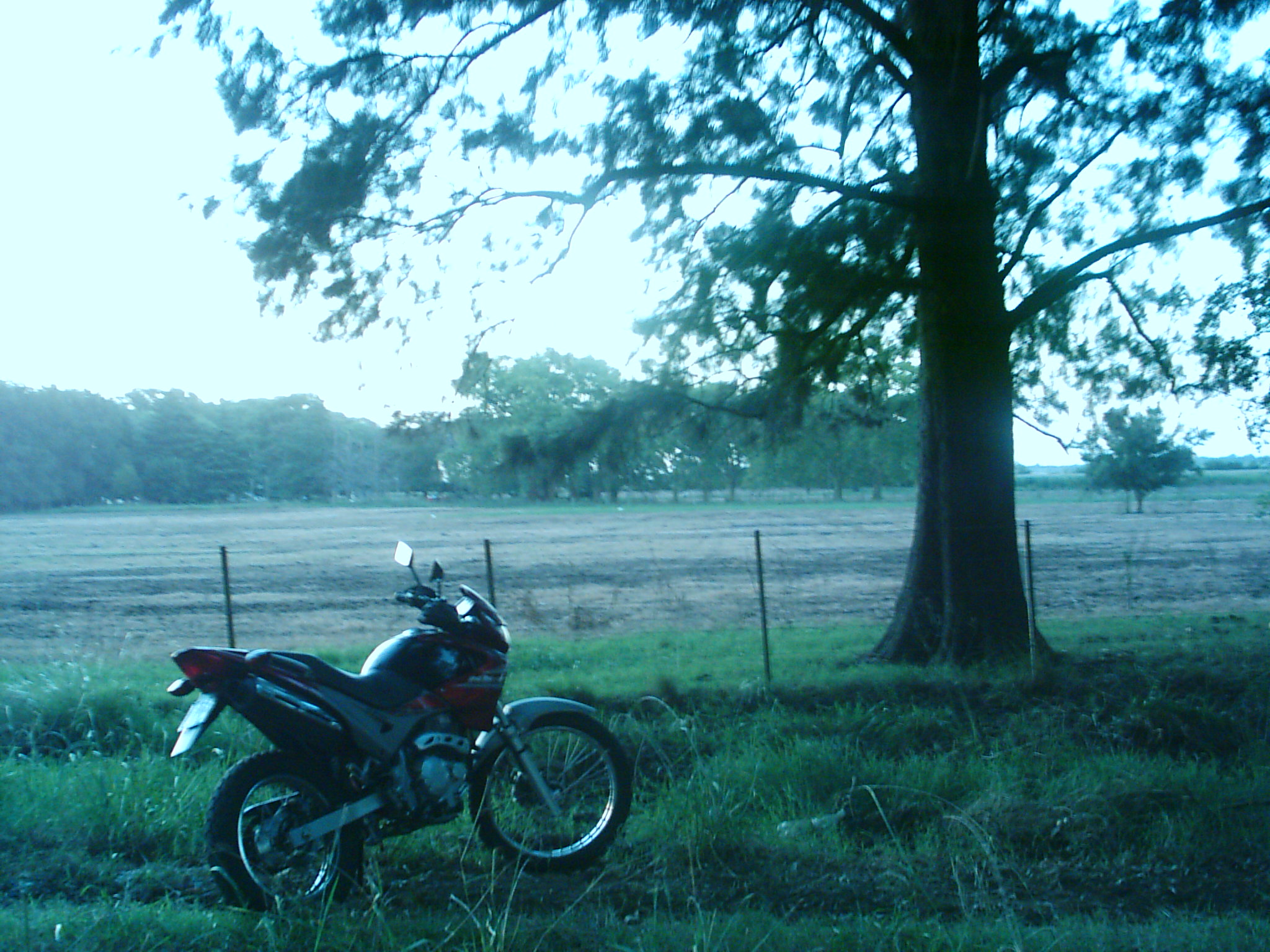 Photo 2780868