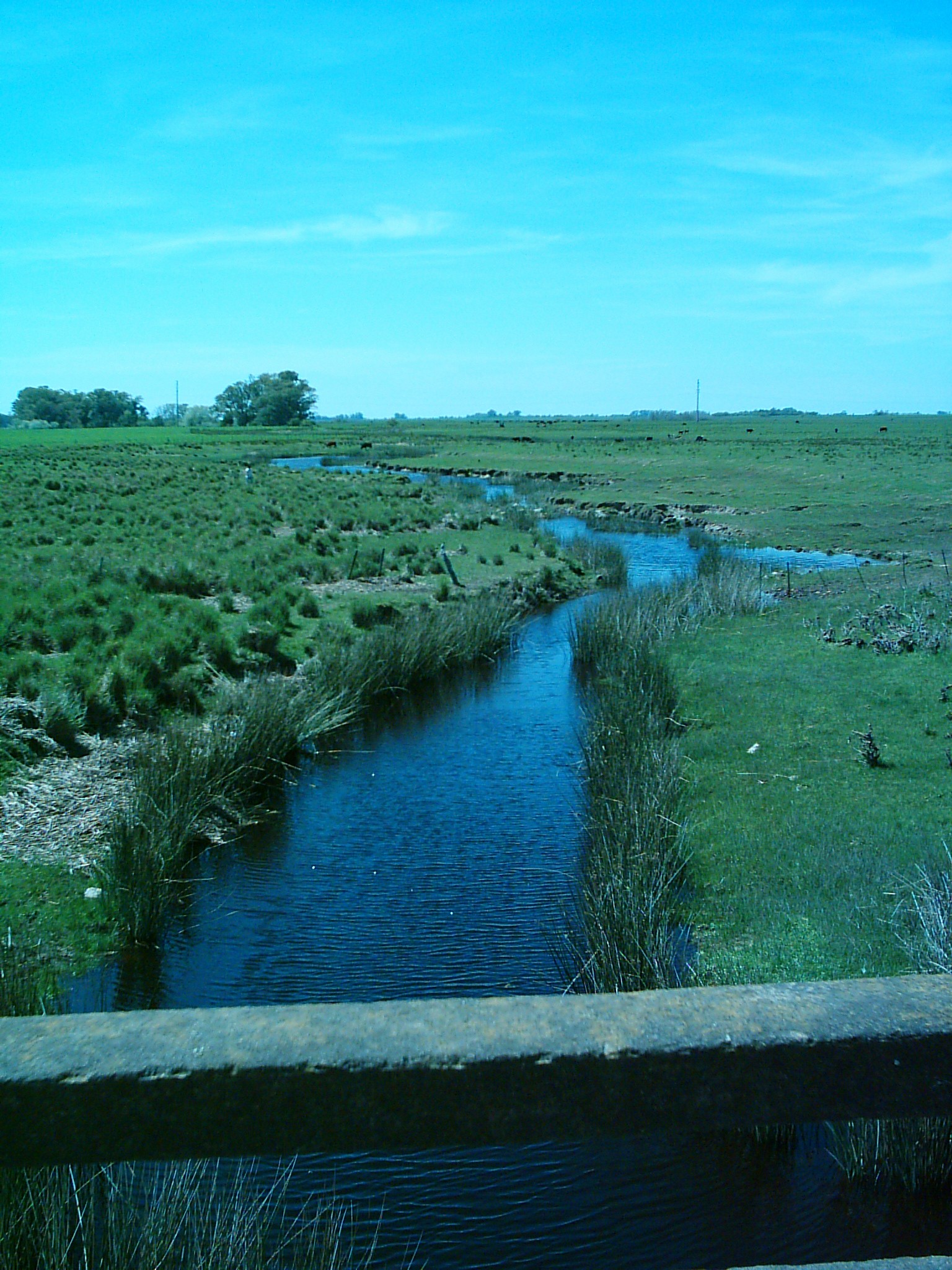 Photo 2780871