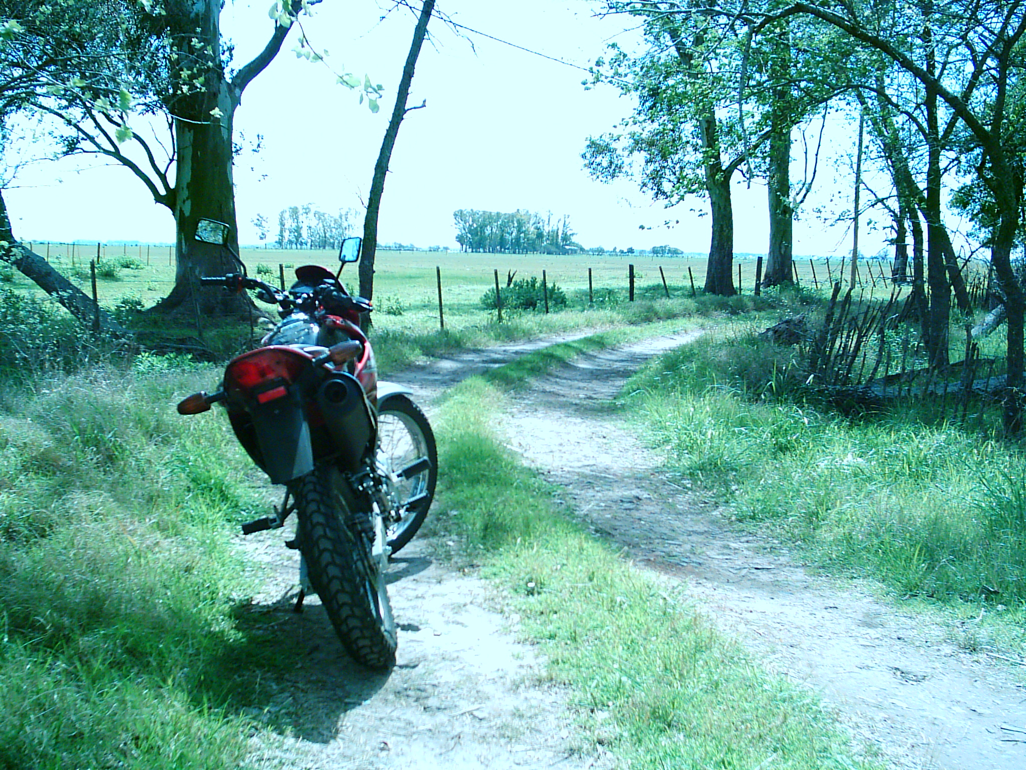 Photo 2780873