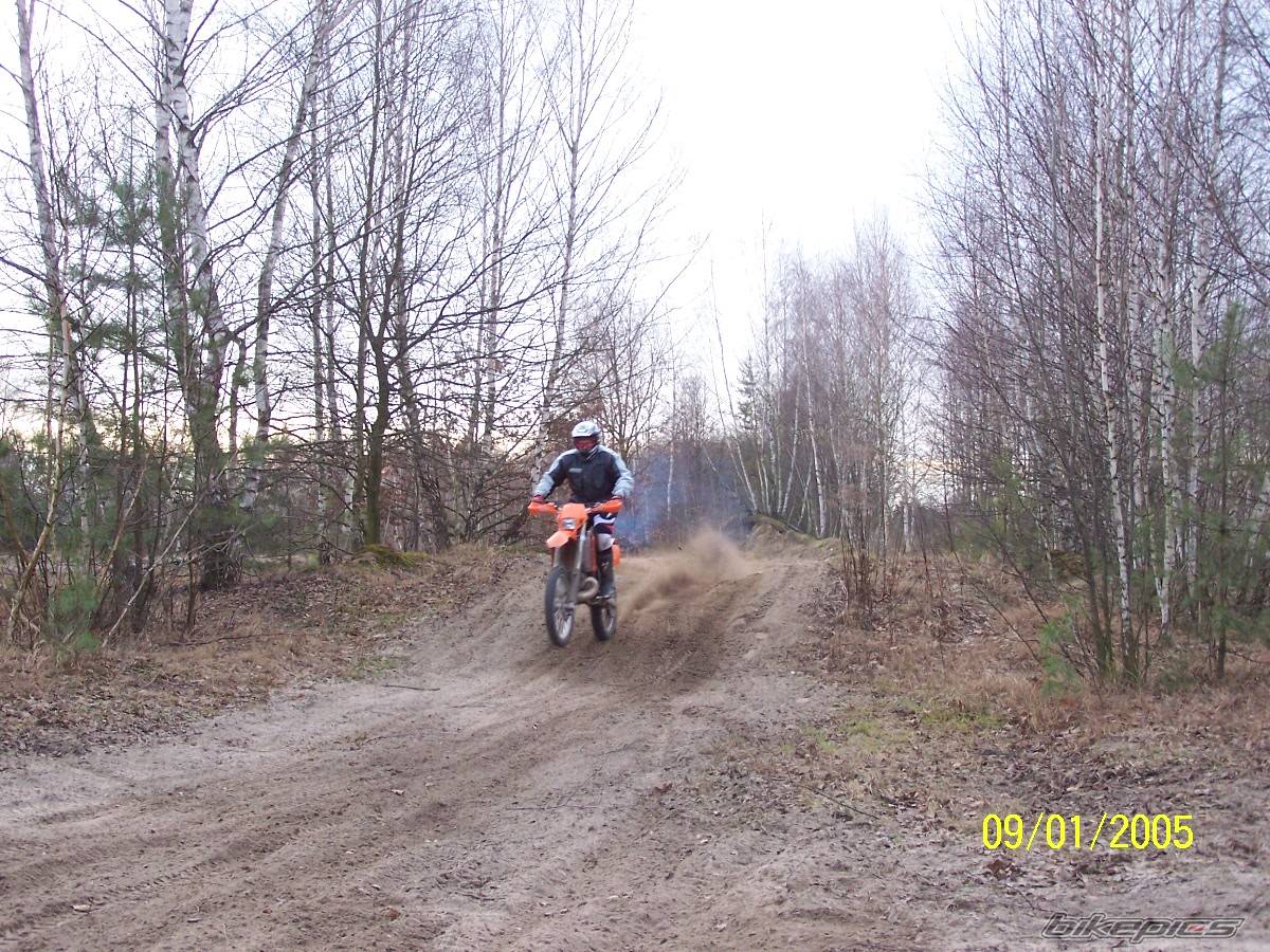 Photo 278088