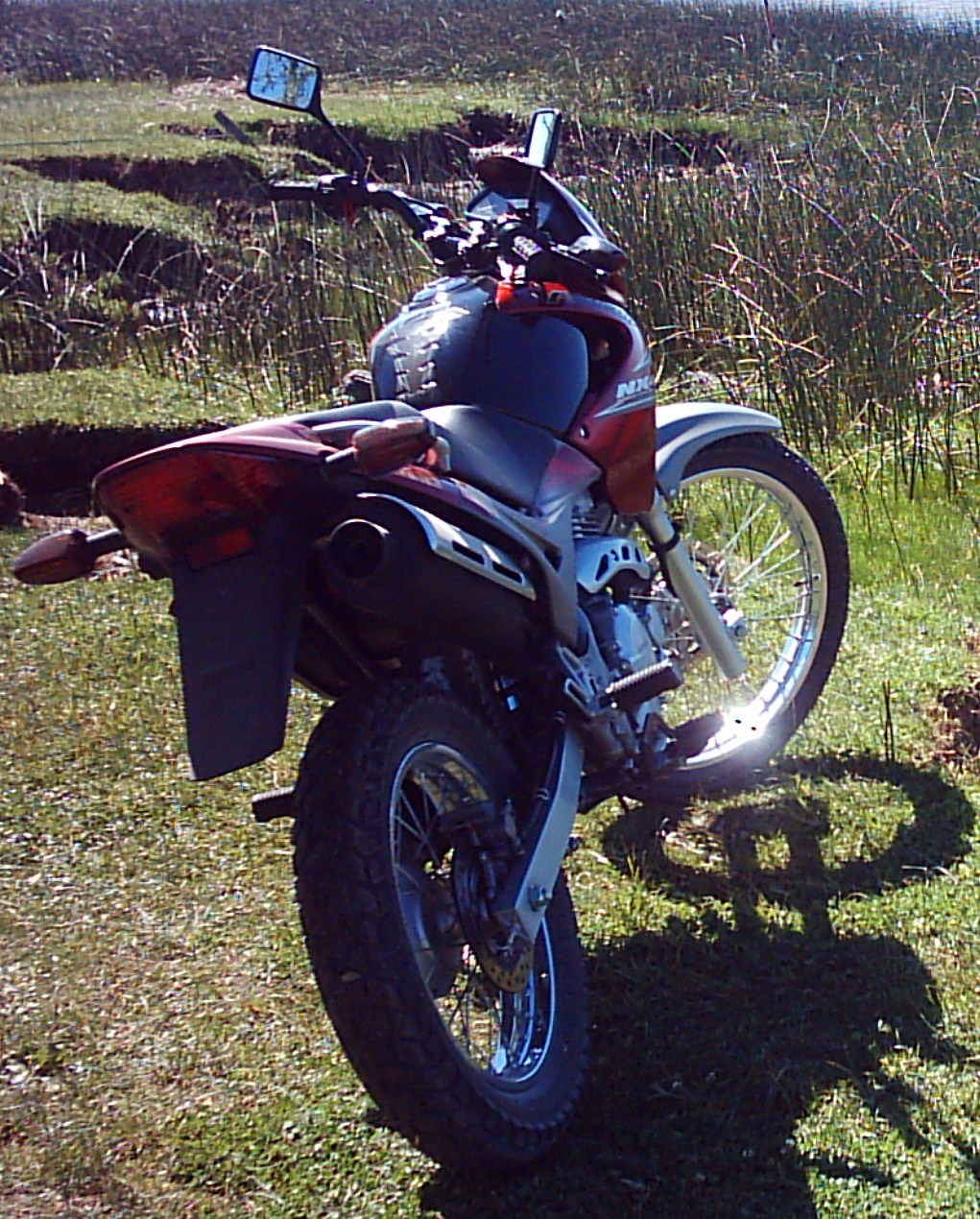 Photo 2780885