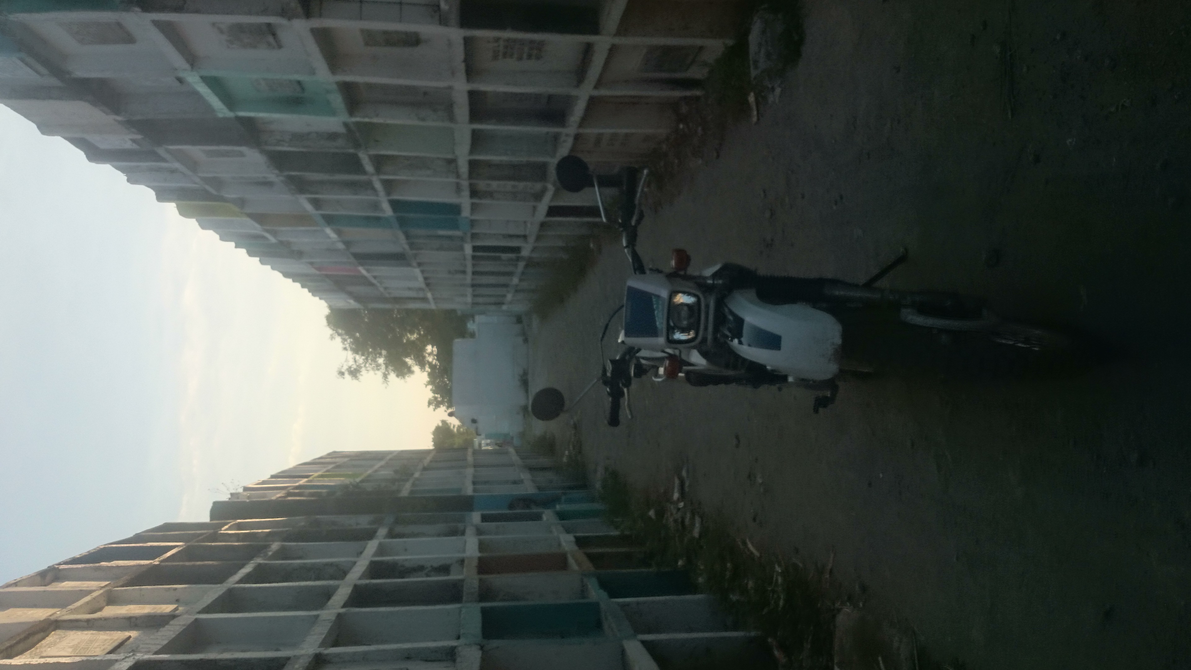 Photo 2780964
