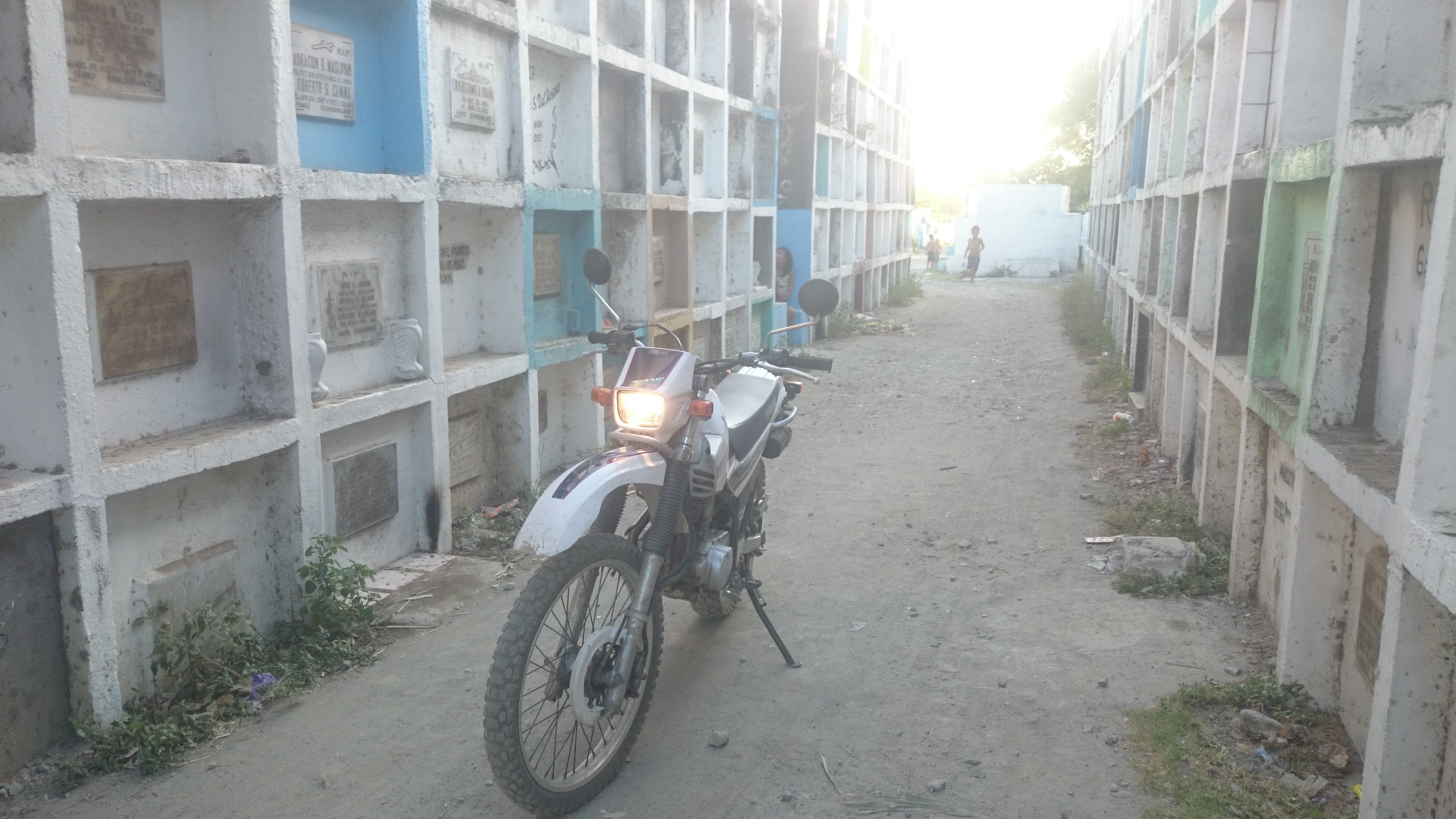 Photo 2780965