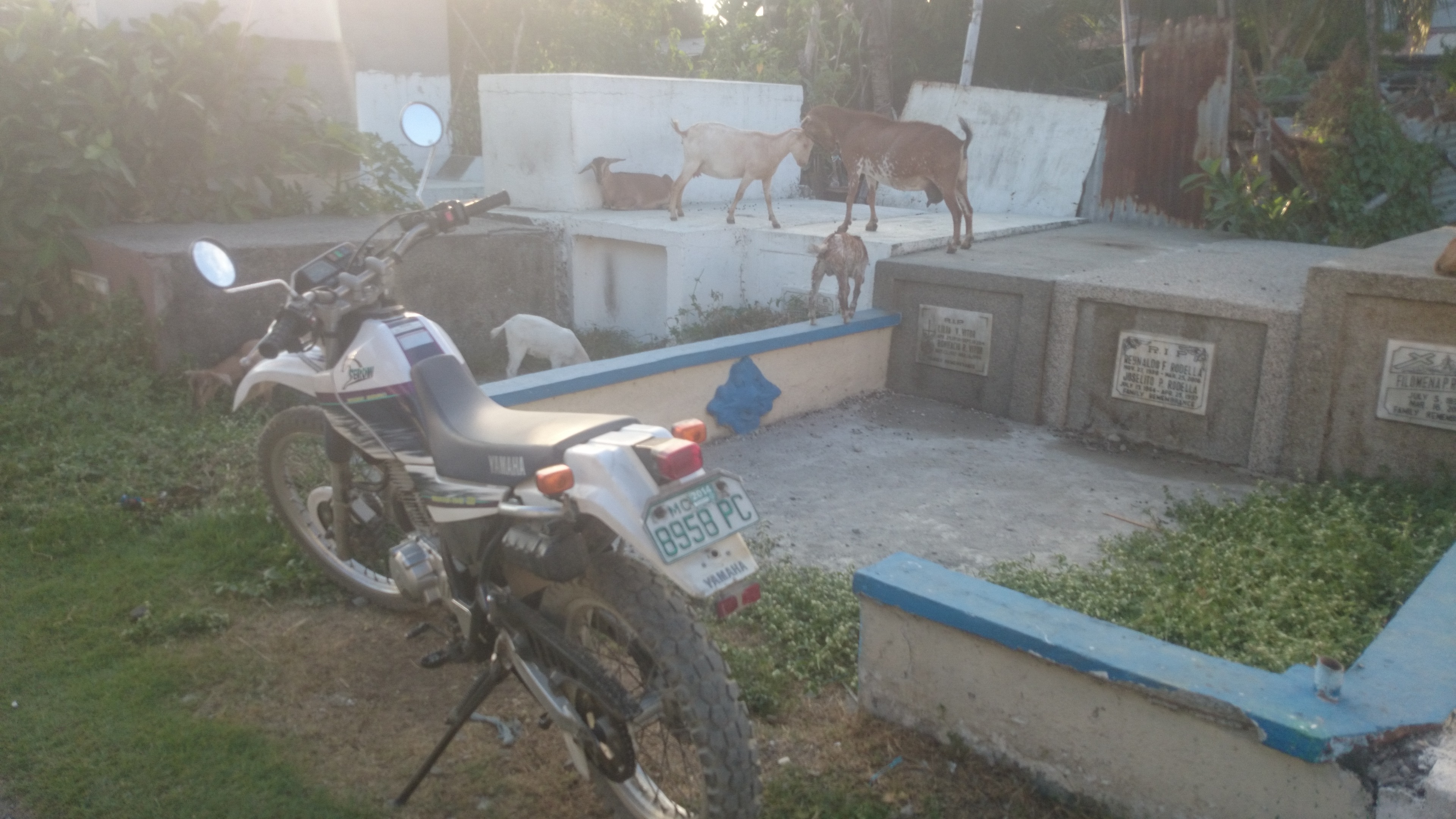 Photo 2780966
