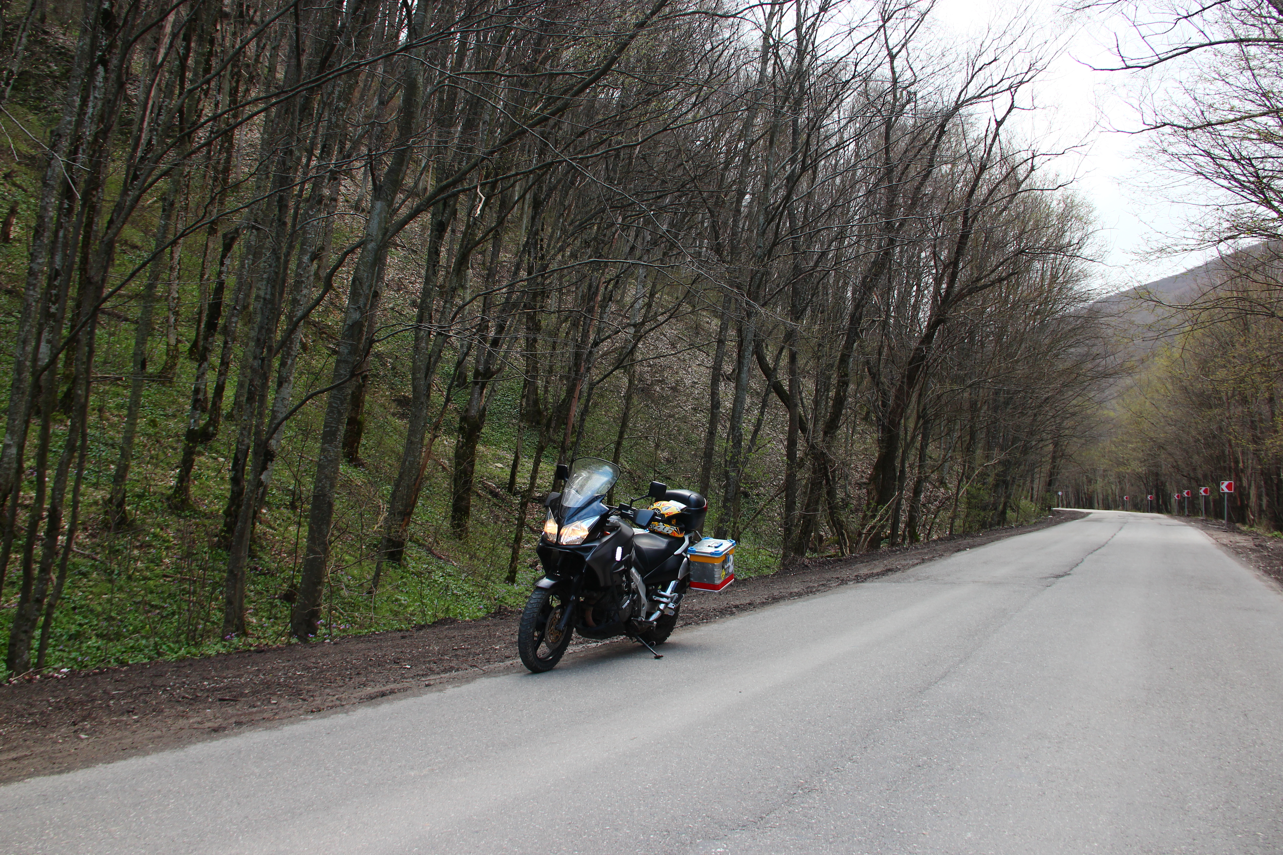 Bike Photo 2780989