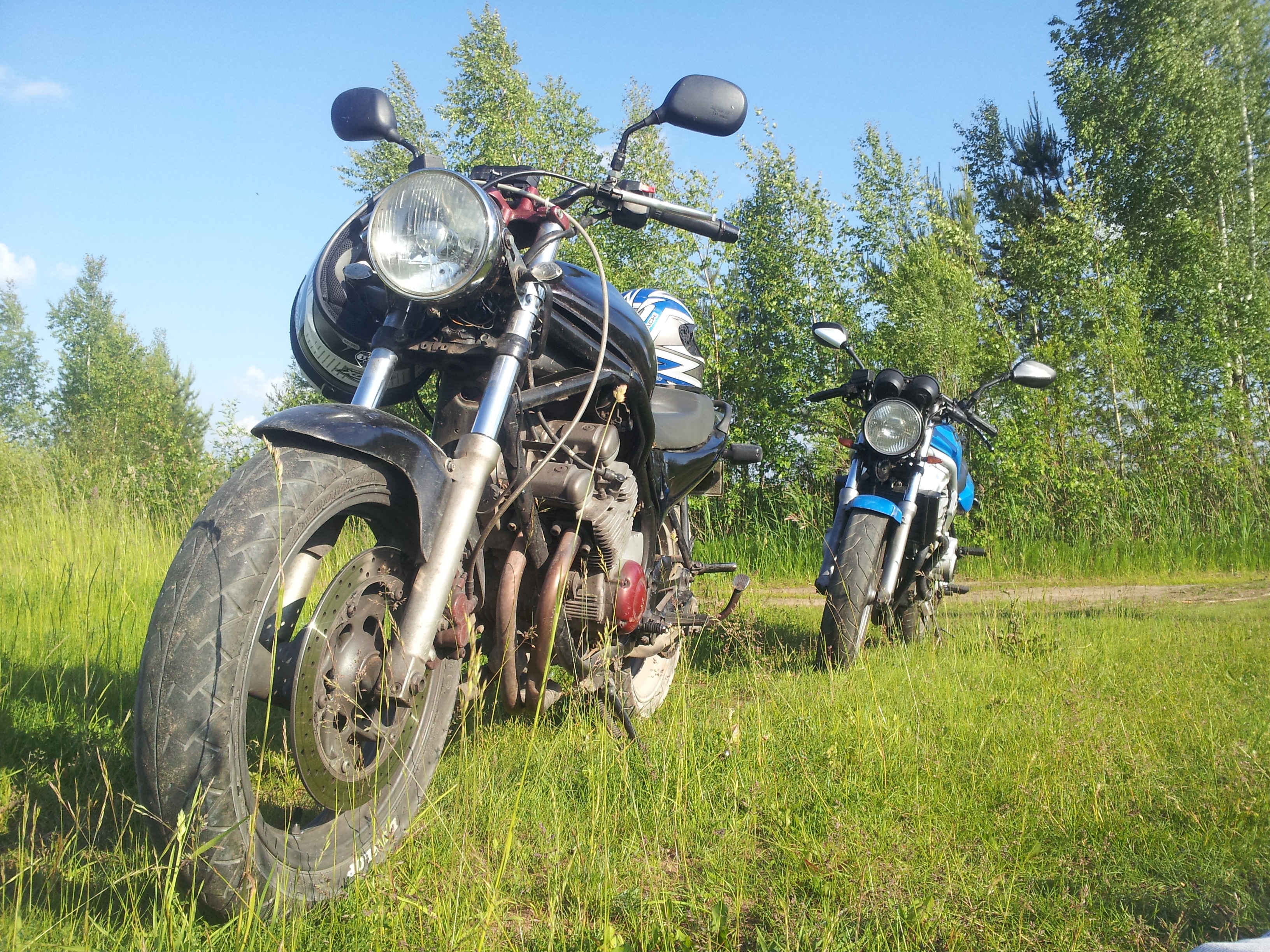 Photo 2781028