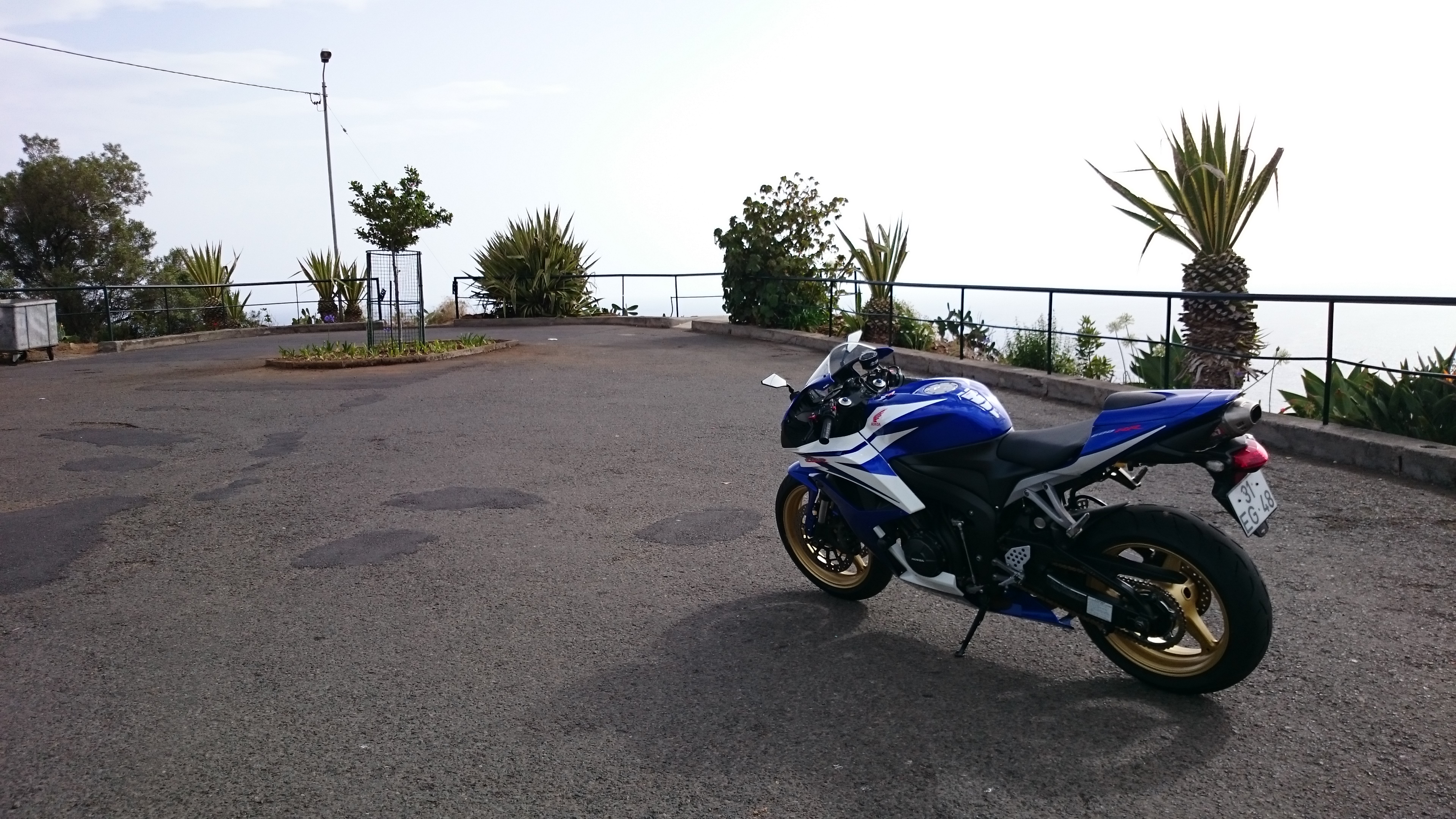 Photo 2781034
