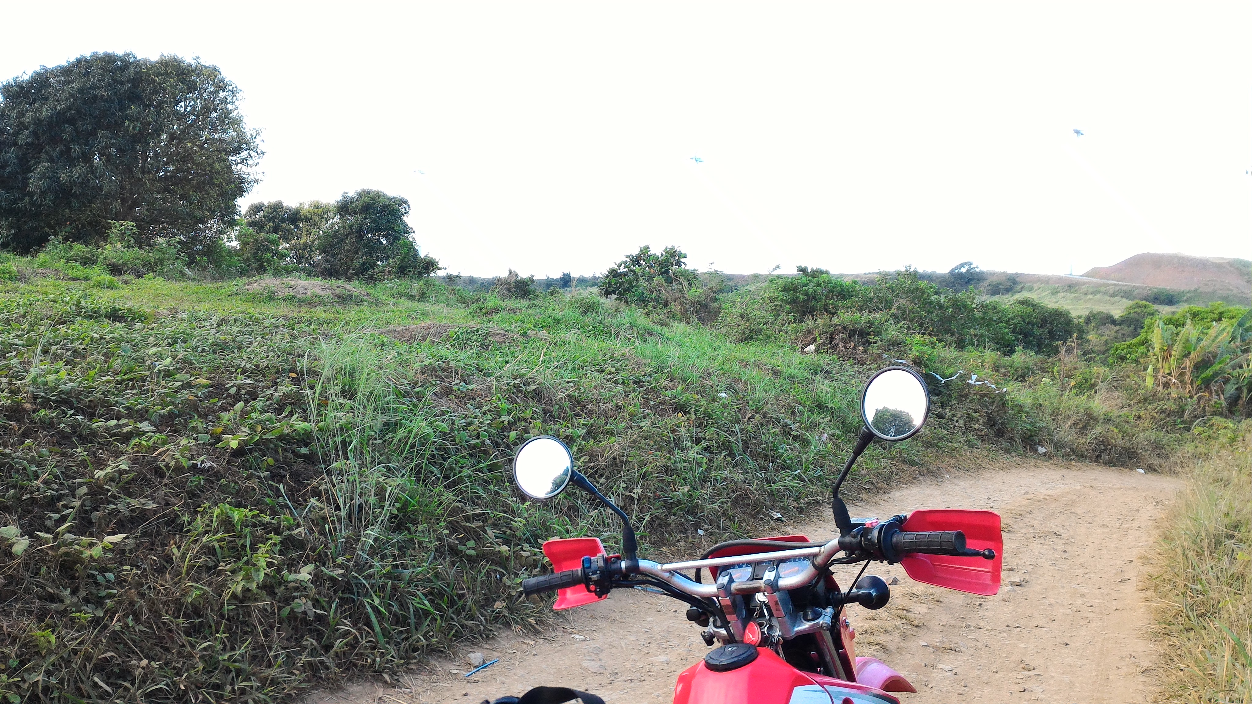 Photo 2781201