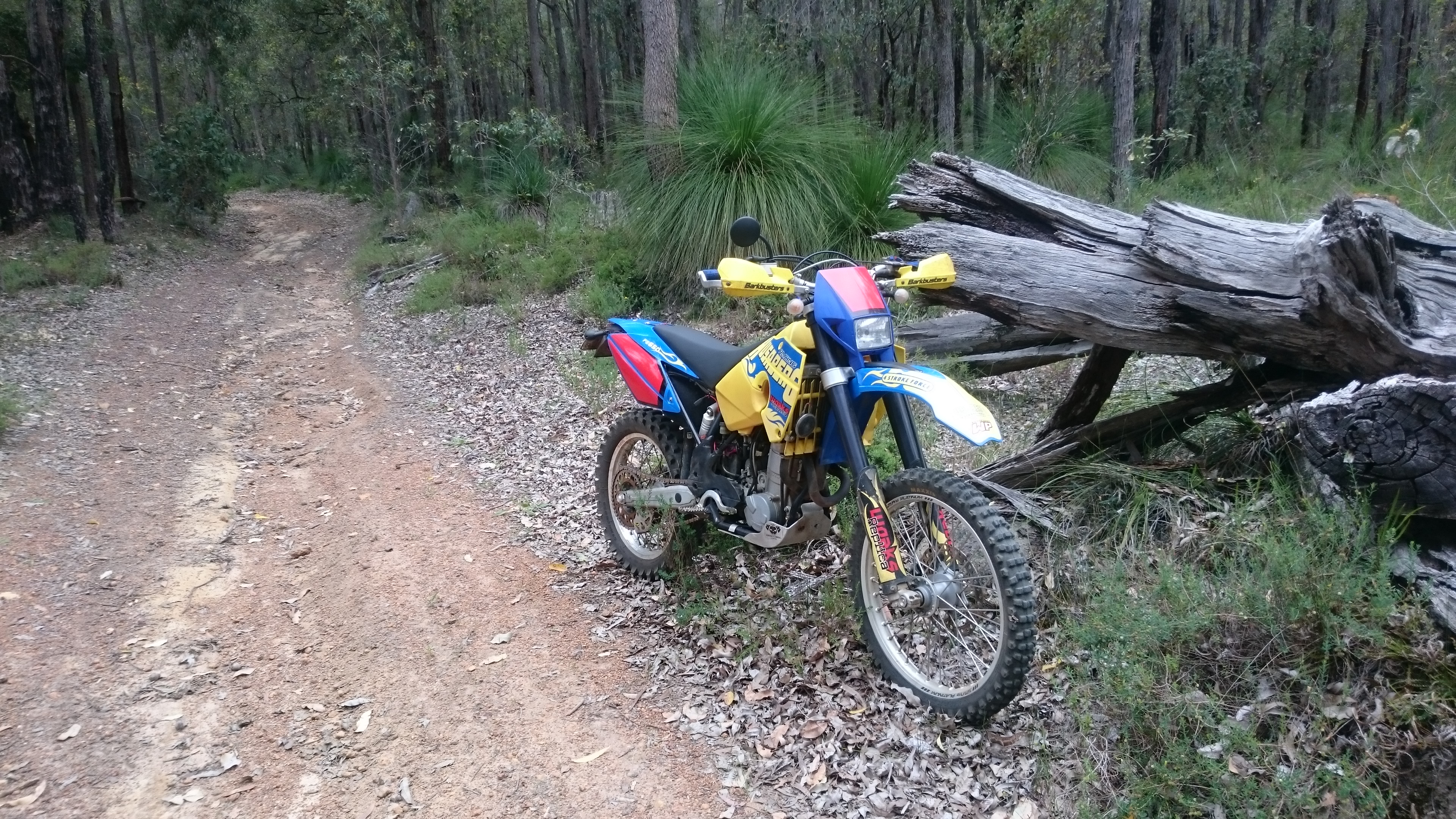 Photo 2781279