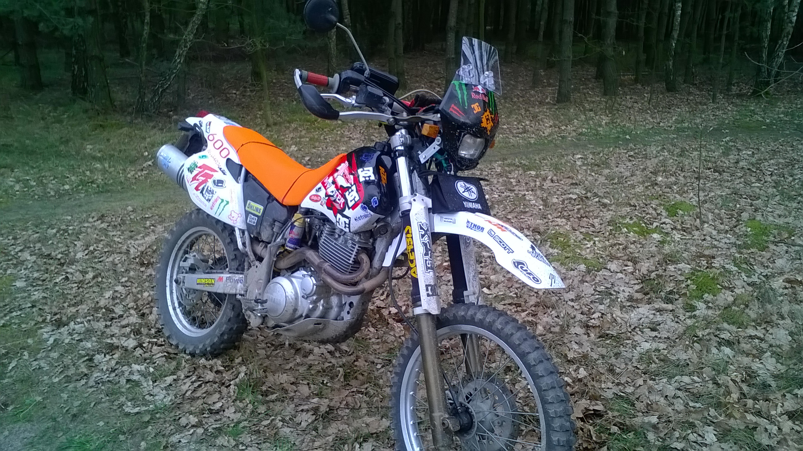 Photo 2781361