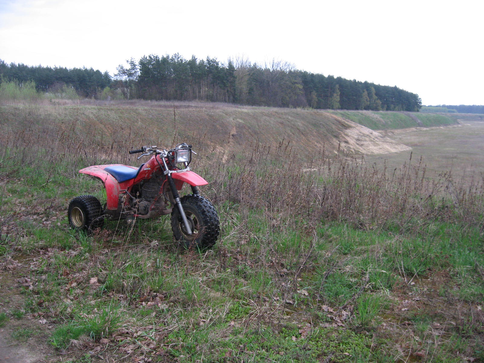 Photo 2781363