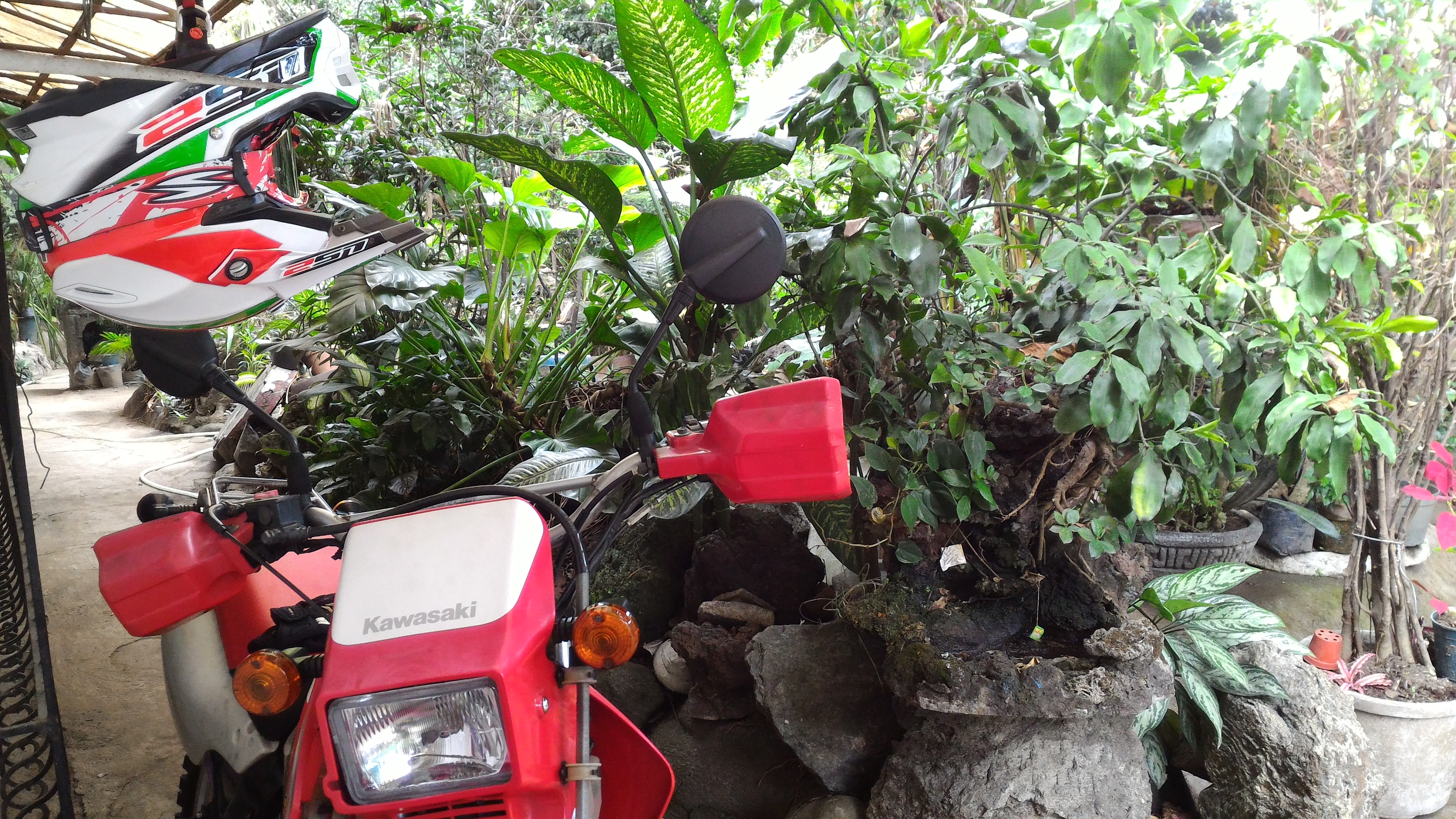 Photo 2781431