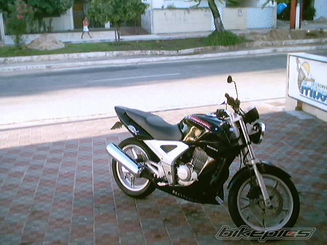 Photo 278149