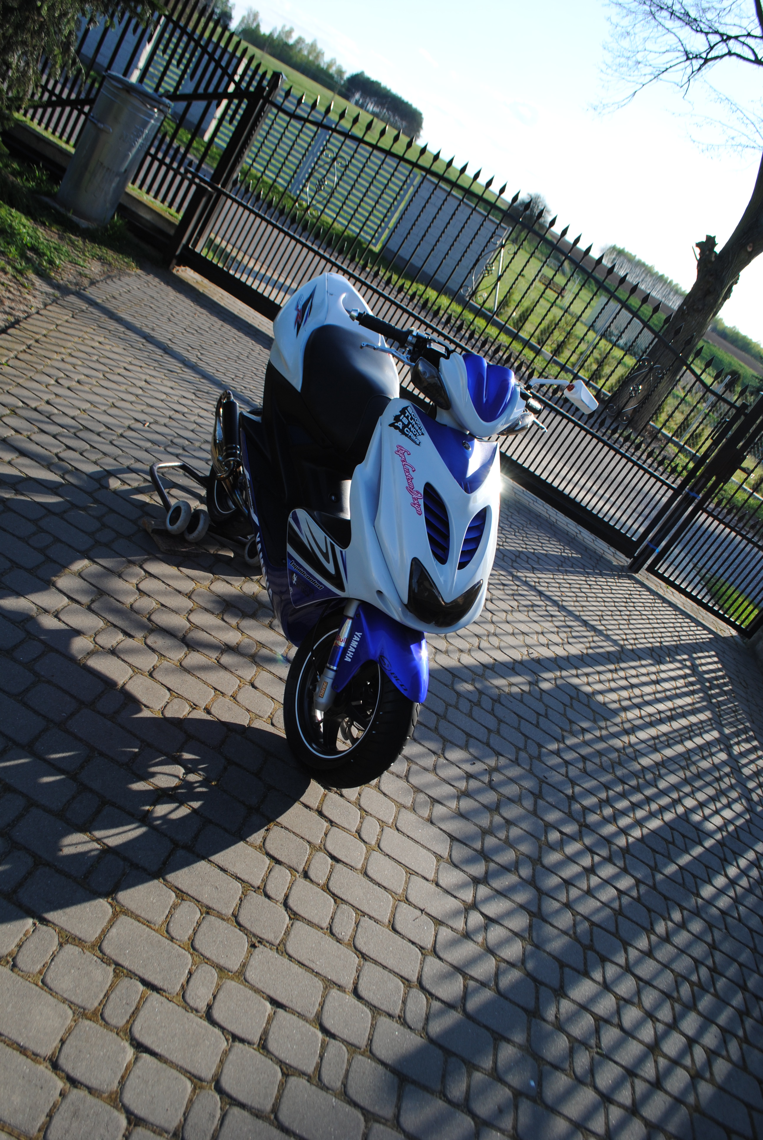 Photo 2781581