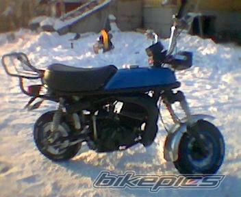 Photo 278166